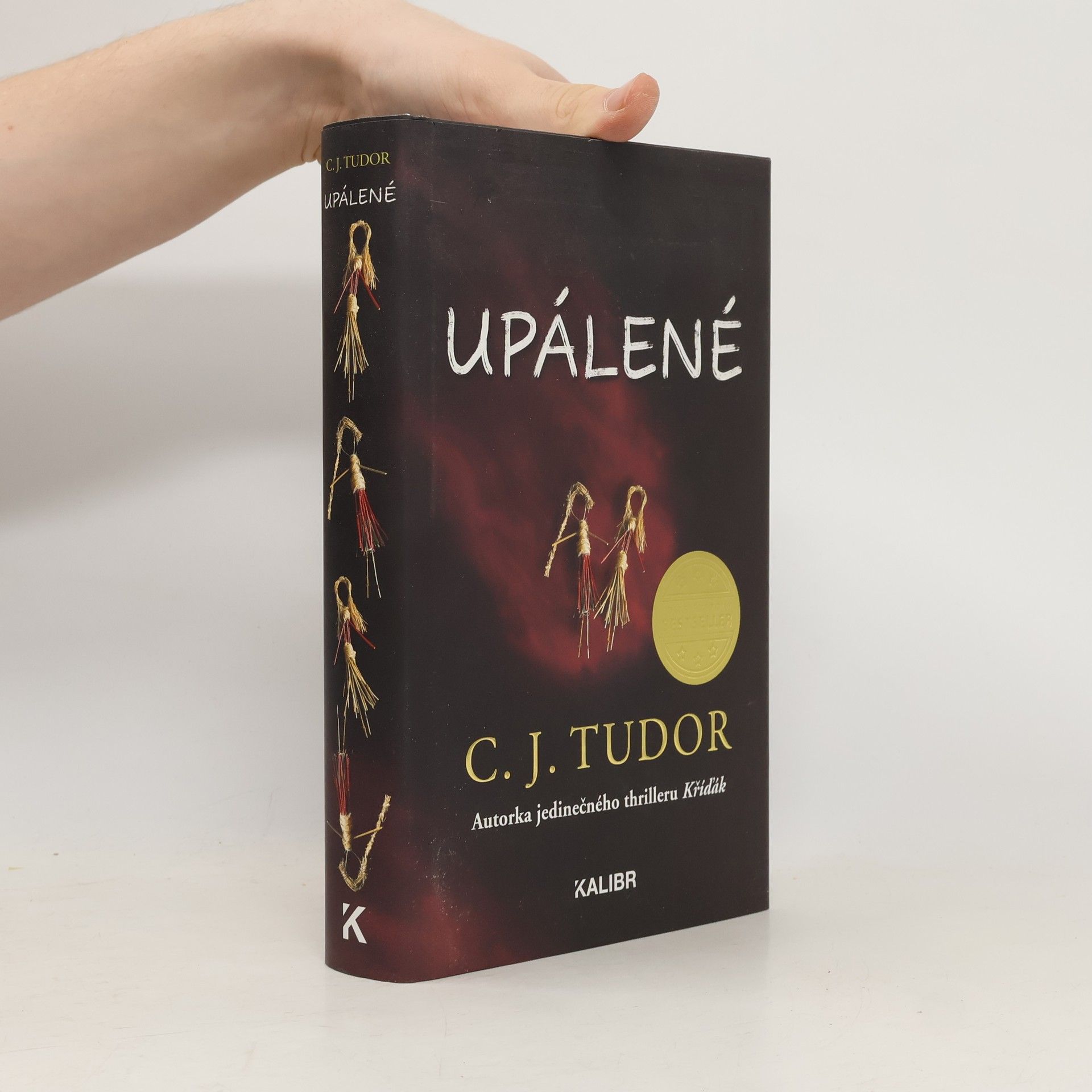 C. J. Tudor Upálené