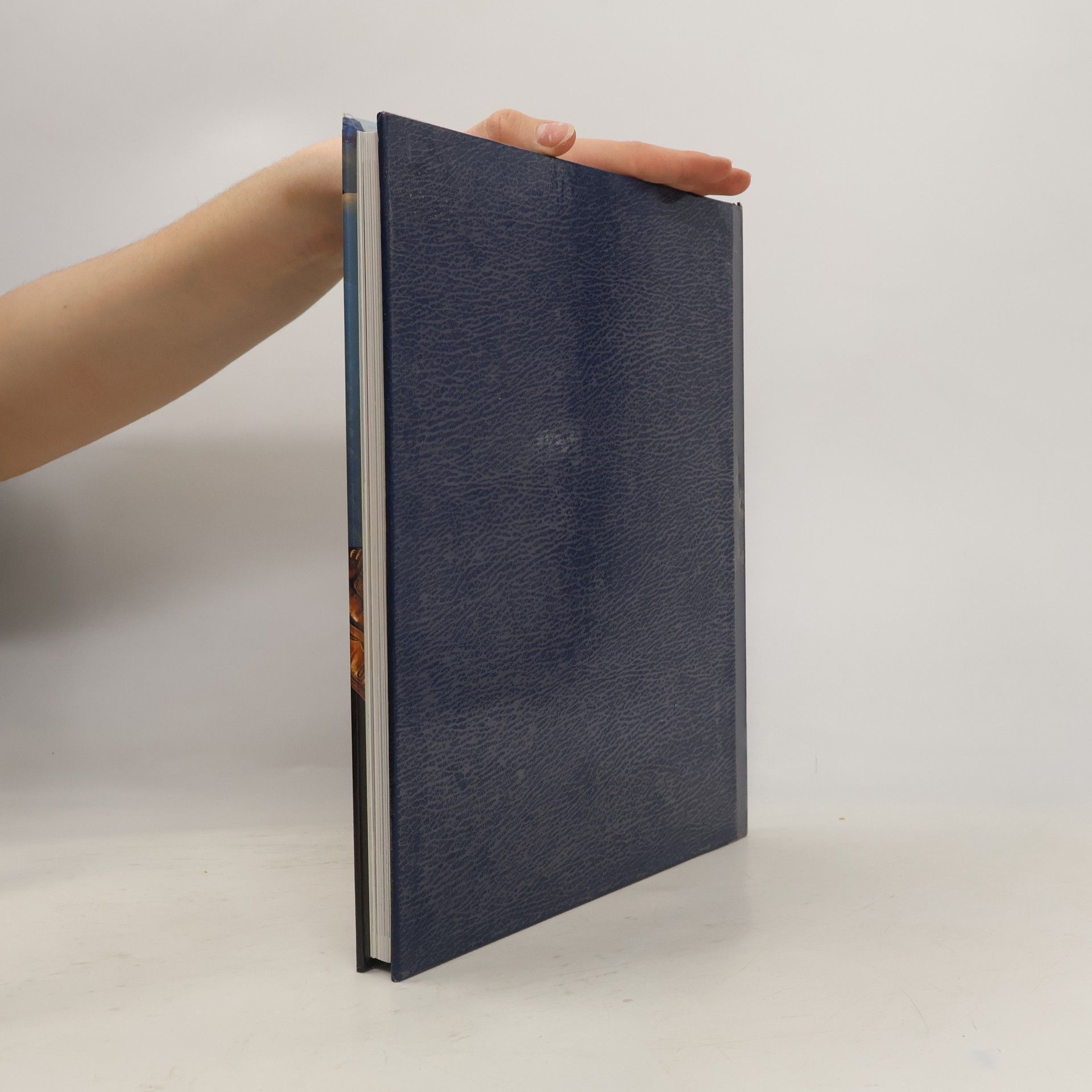 Autorenkollektiv Bibel 2000
