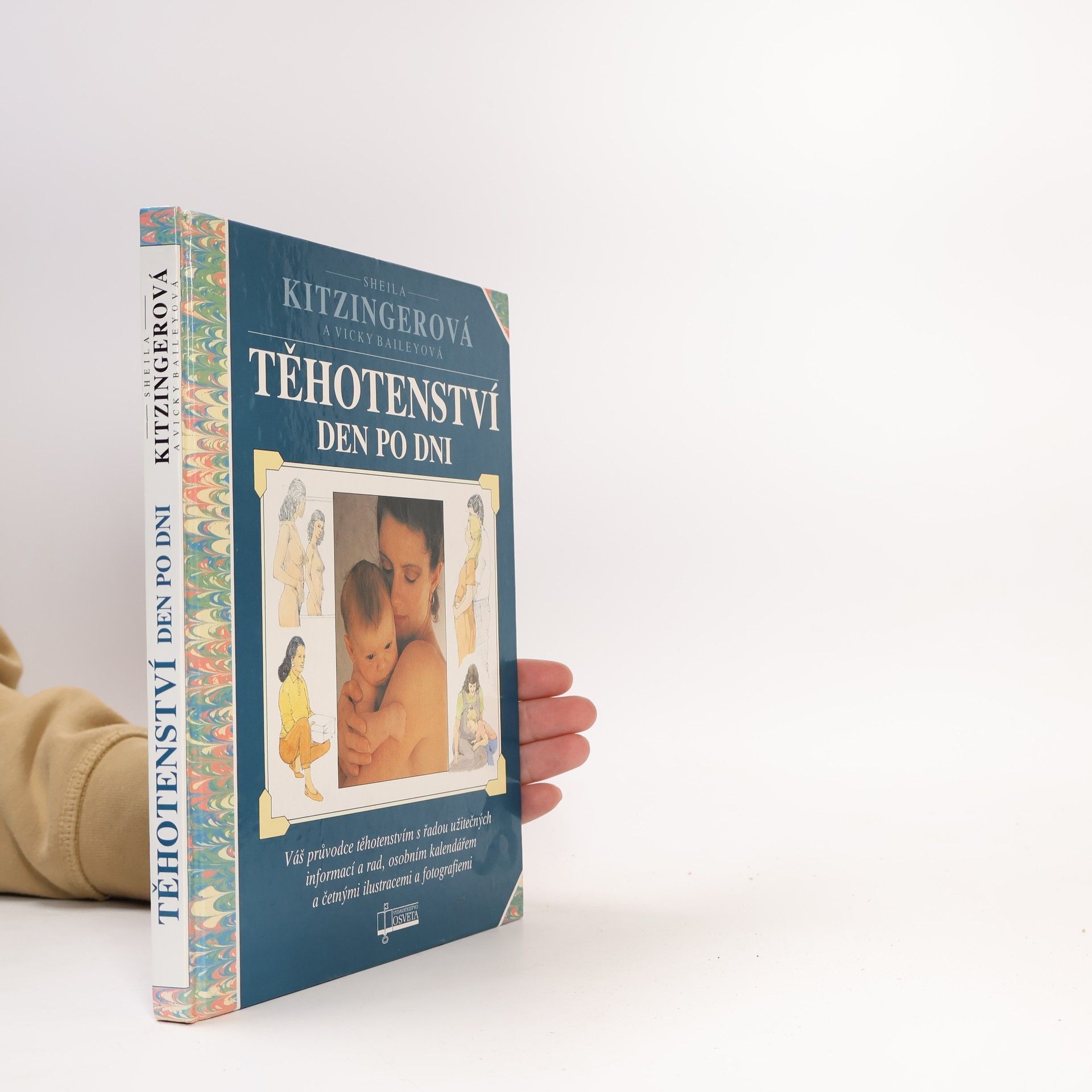 Těhotenství den po dni