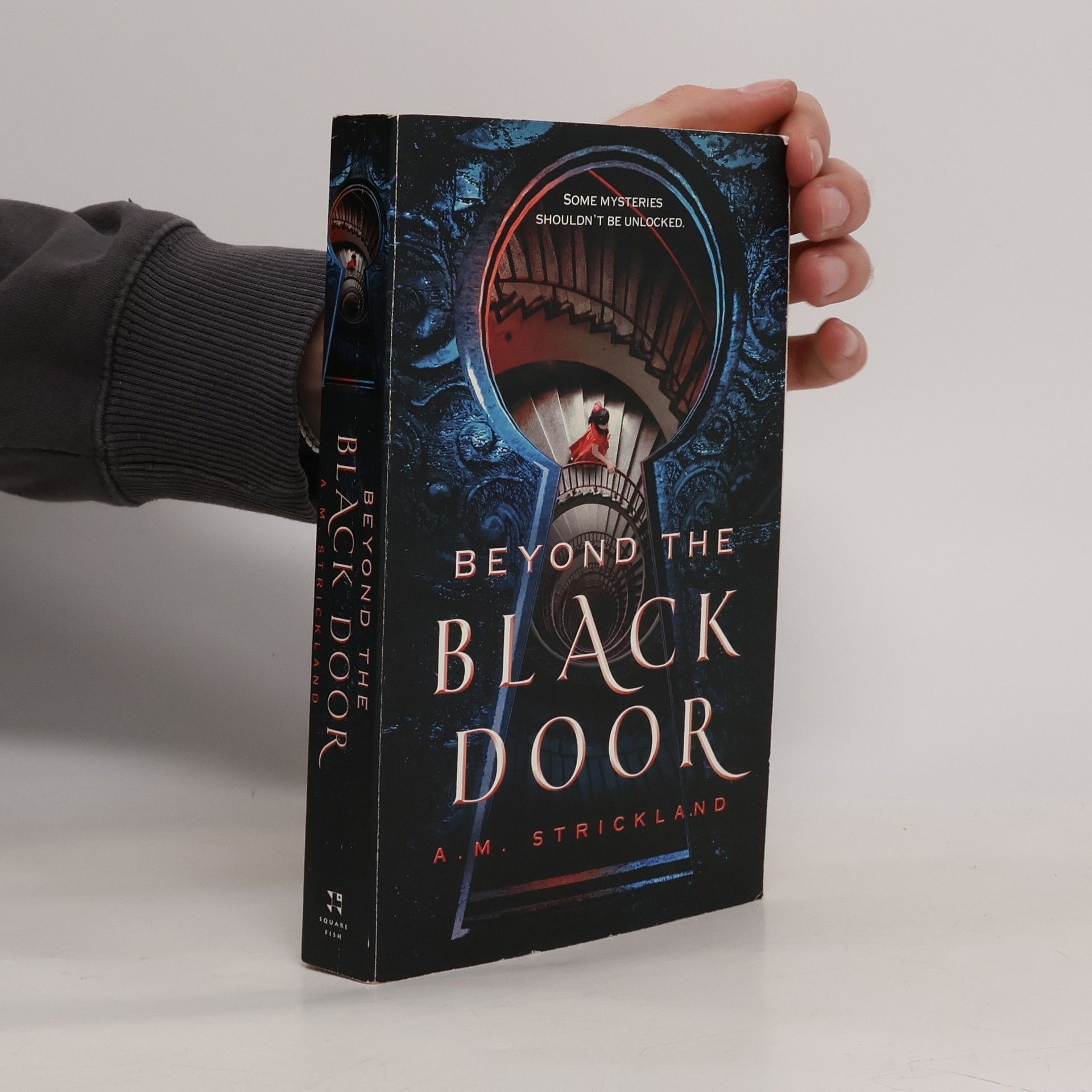 A. M. Strickland Beyond the Black Door