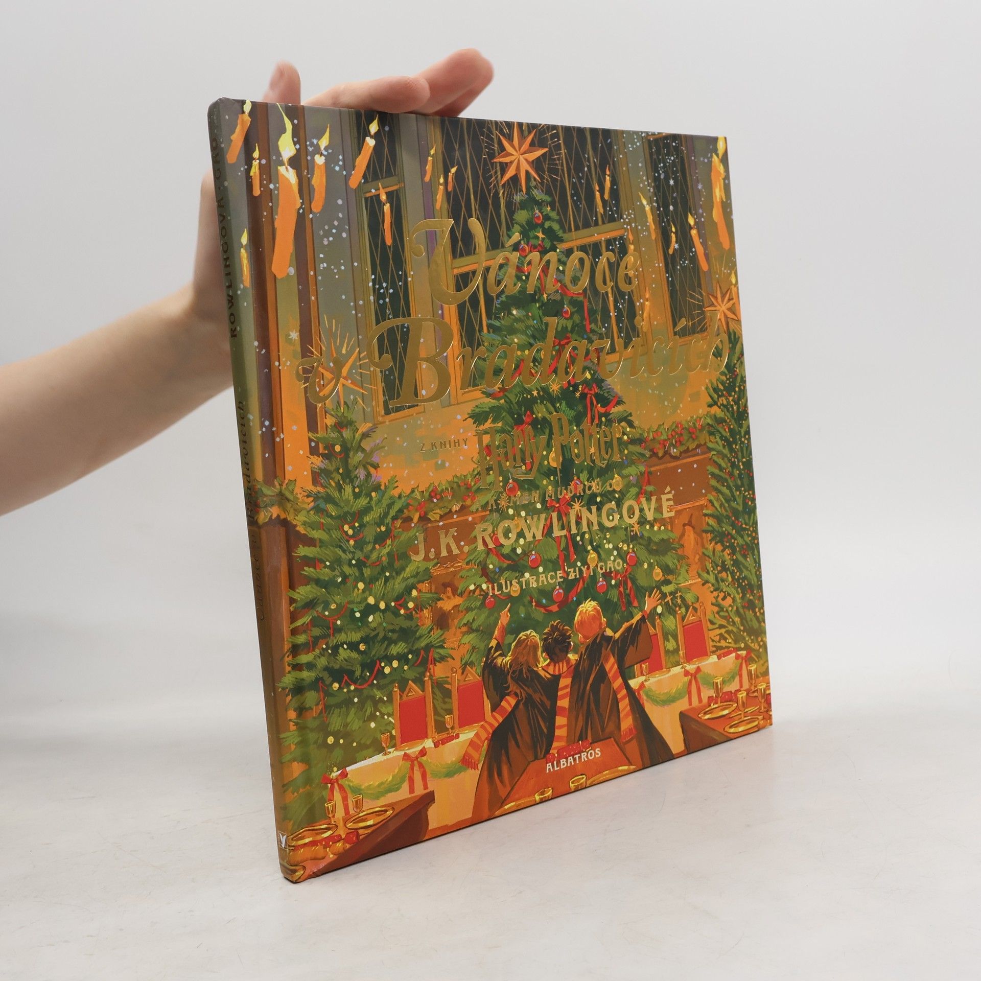 Joanne K. Rowling Vánoce v Bradavicích
