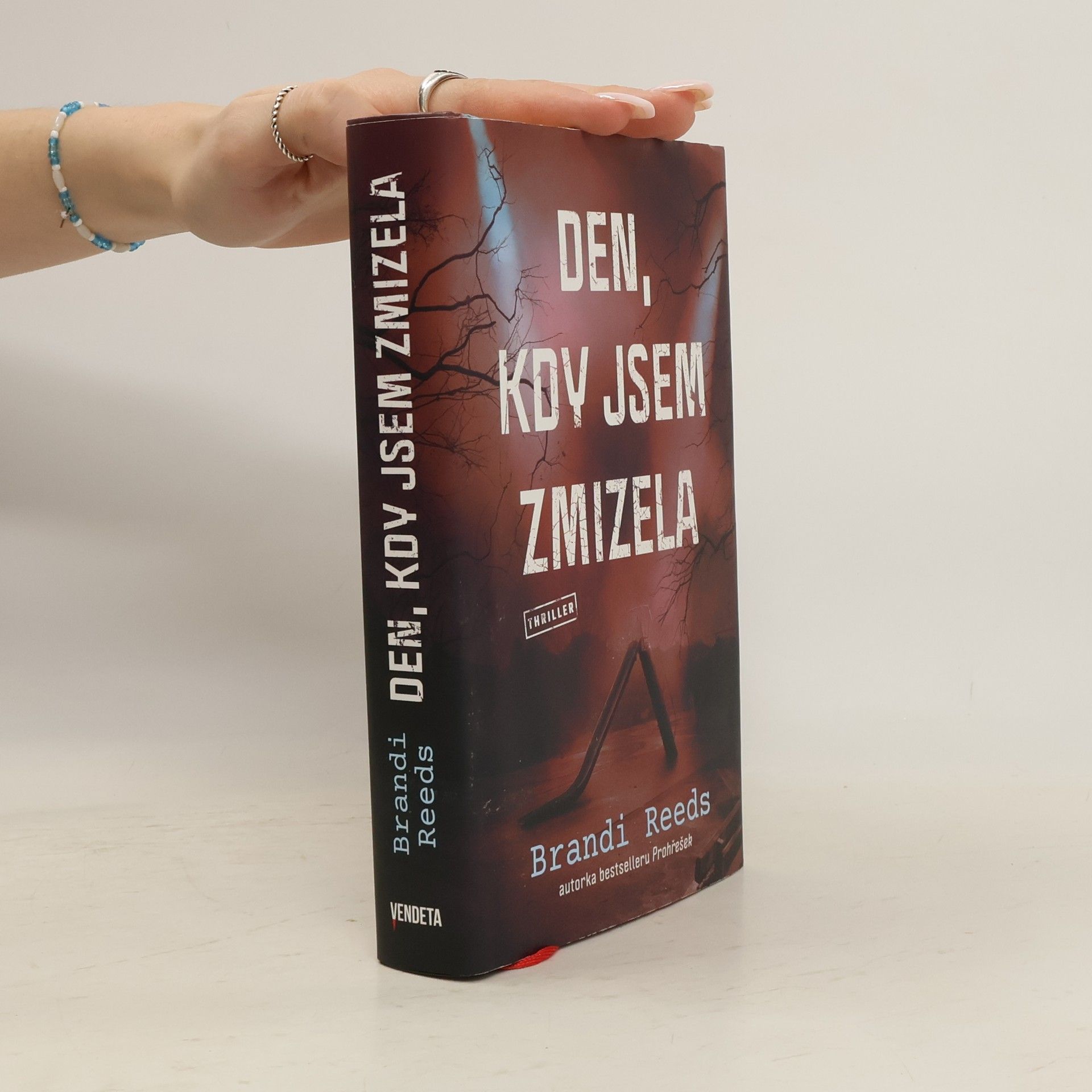 Brandi Reeds Den, kdy jsem zmizela