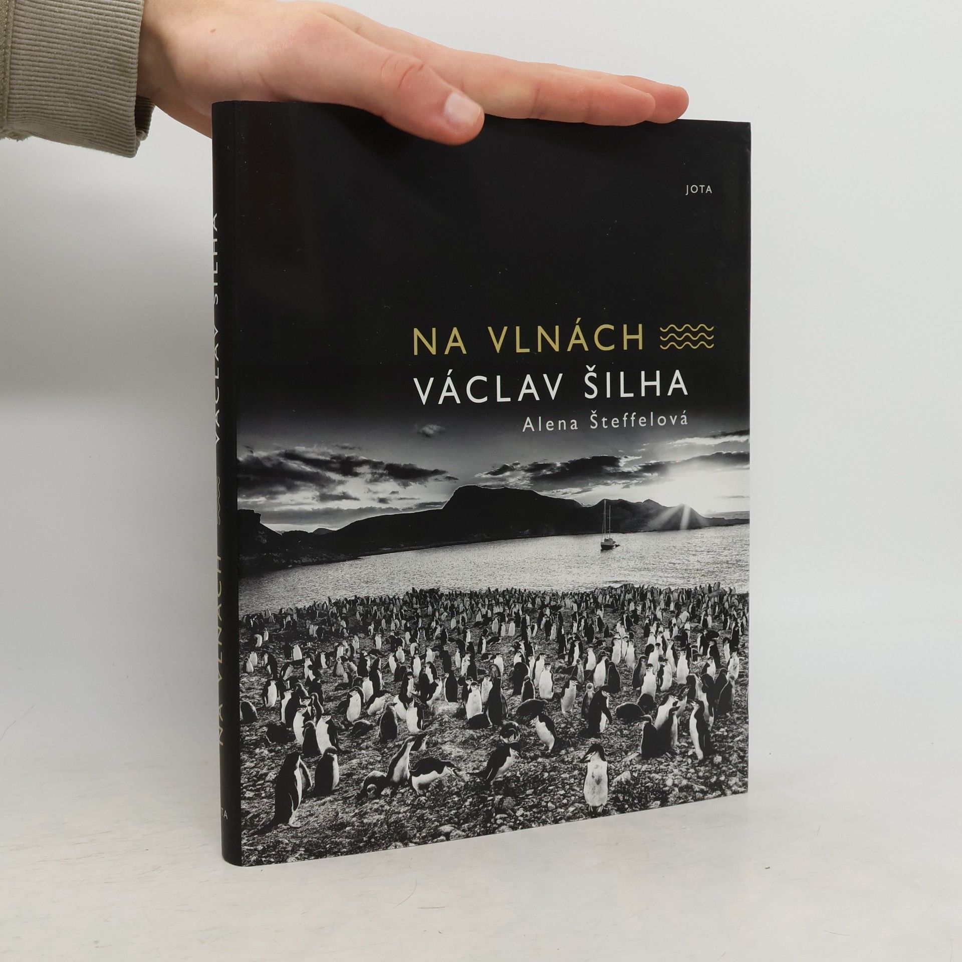 Václav Šilha Na vlnách