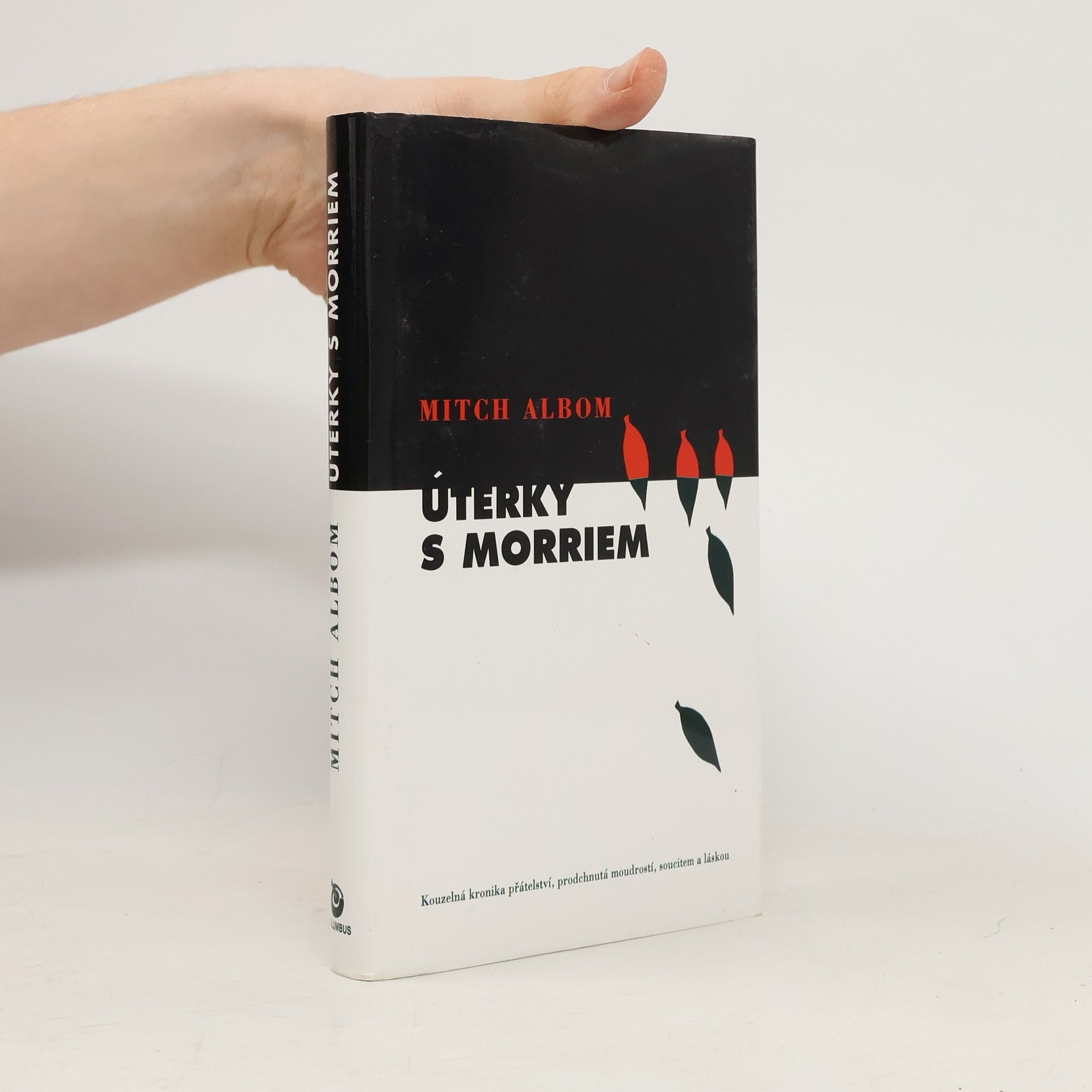 Mitch Albom Úterky s Morriem