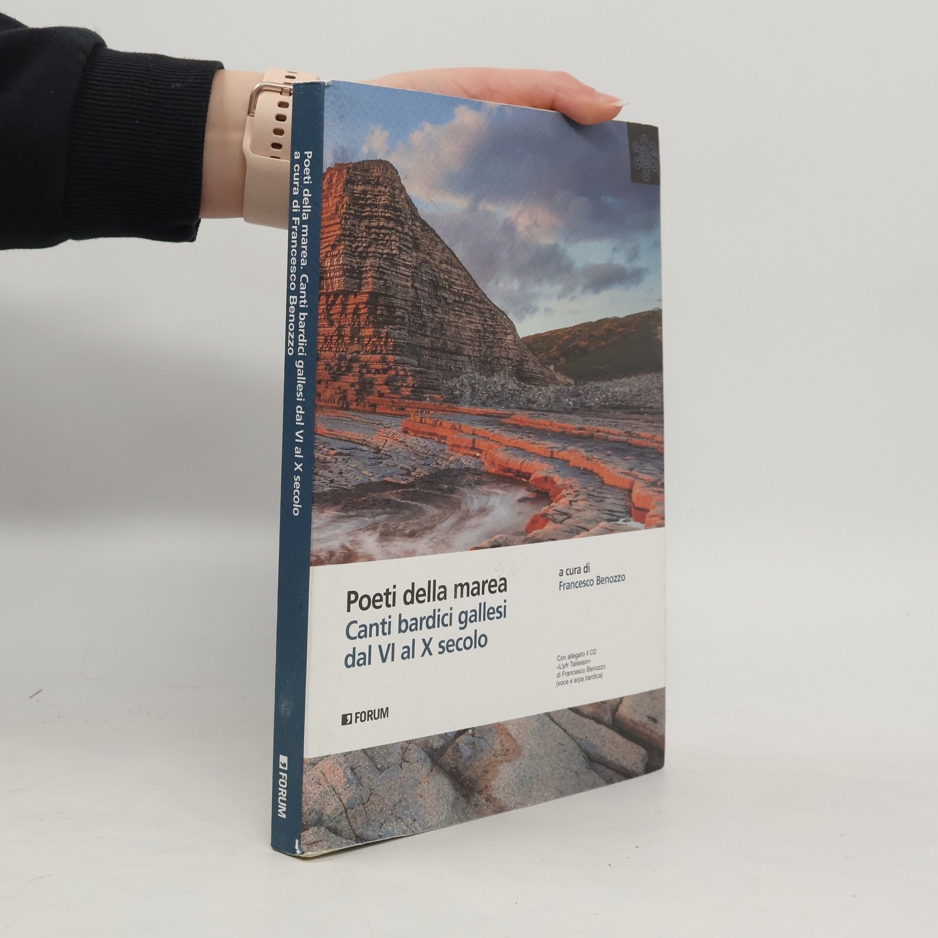 Francesco Benozzo Poeti della marea. Canti bardici gallesi dal VI al X secolo. Con “Llyfr Taliesin”