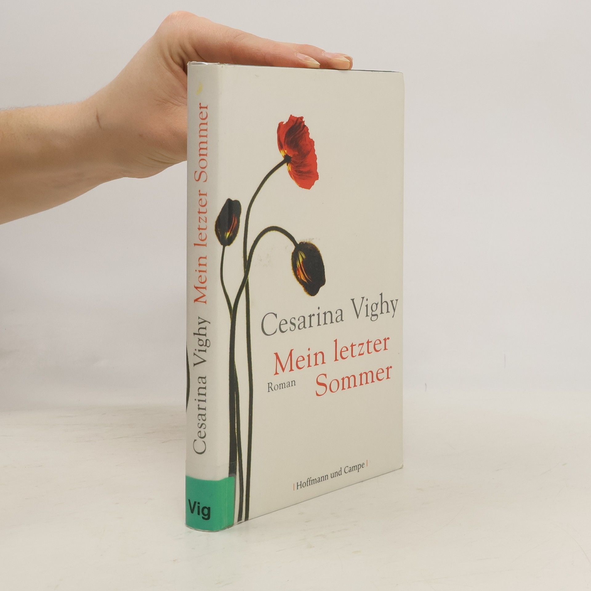 Cesarina Vighy Mein letzter Sommer