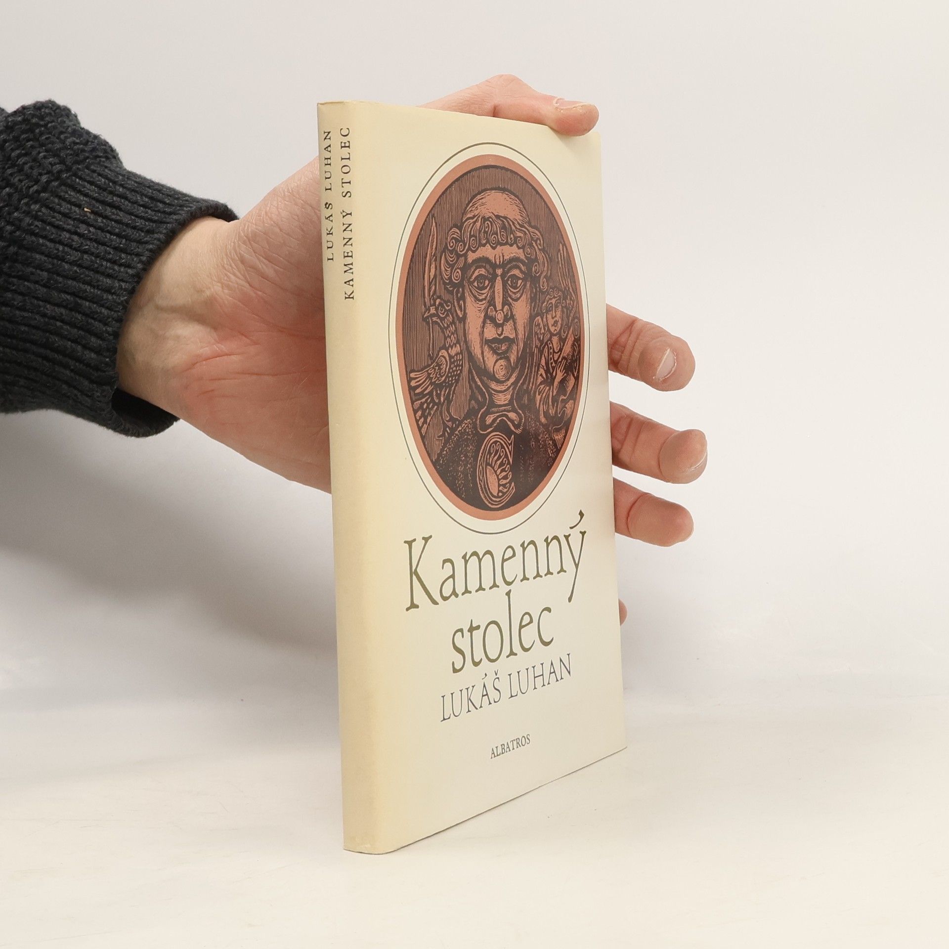 Lukáš Luhan Kamenný stolec. Mozaika o Kosmovi a jeho kronice