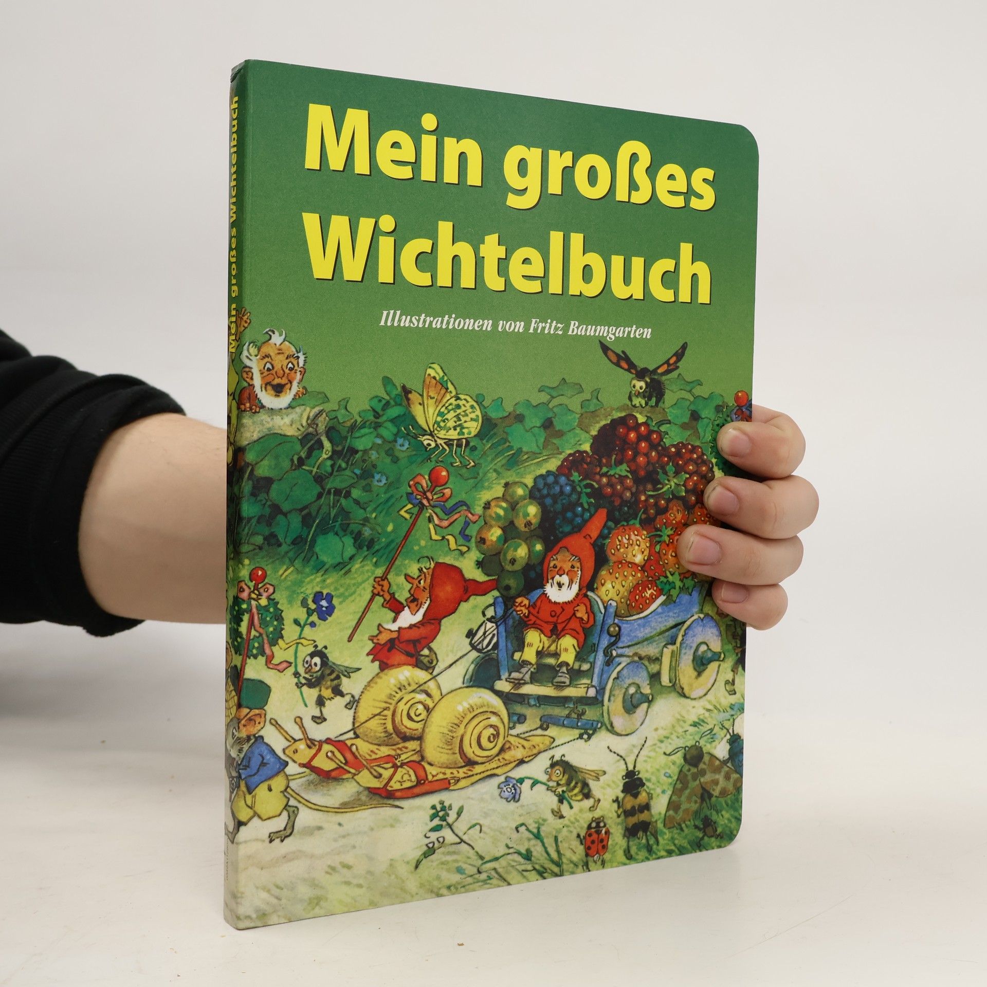 Fritz Baumgarten Mein großes Wichtelbuch