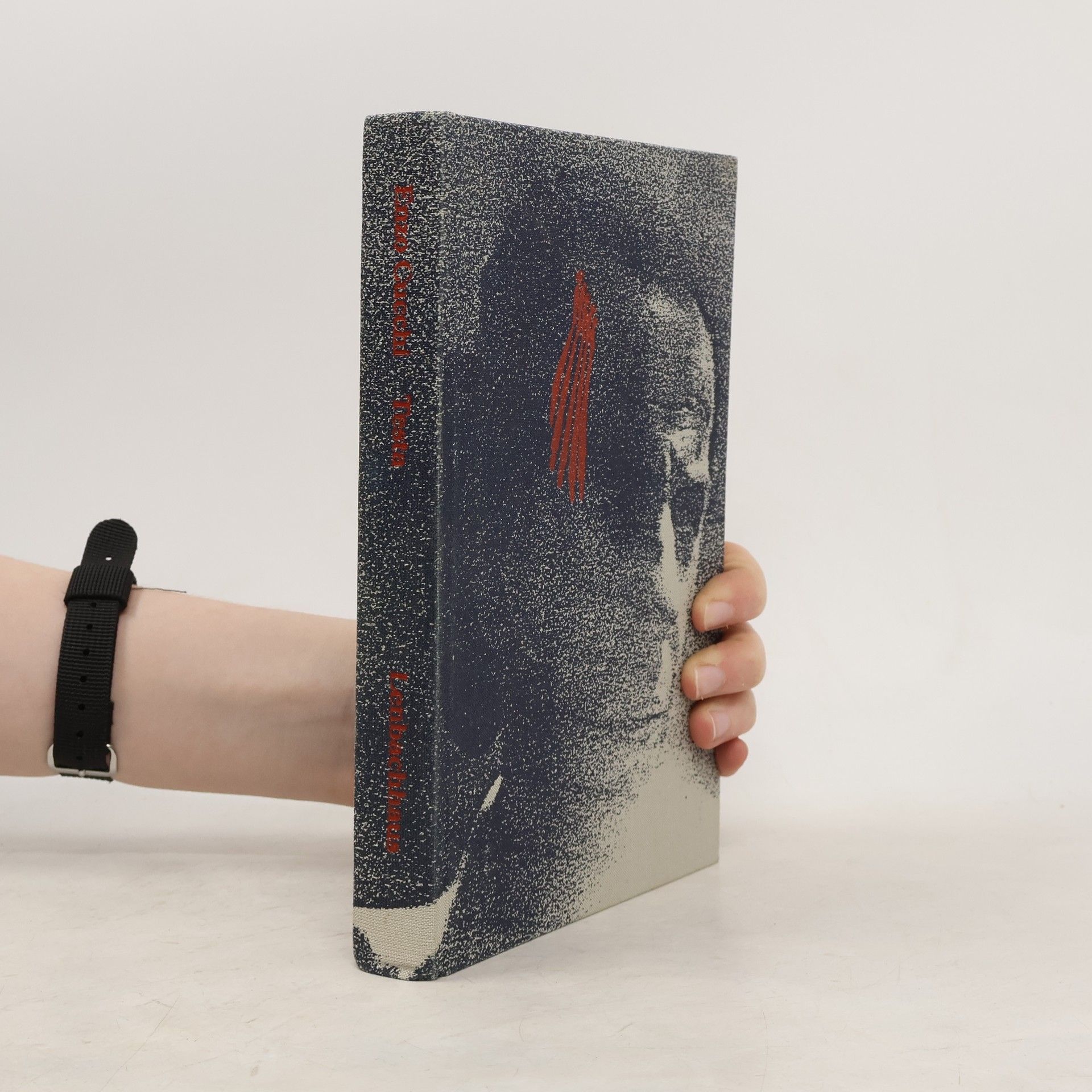 Helmut Friedel Enzo Cucchi. Testa