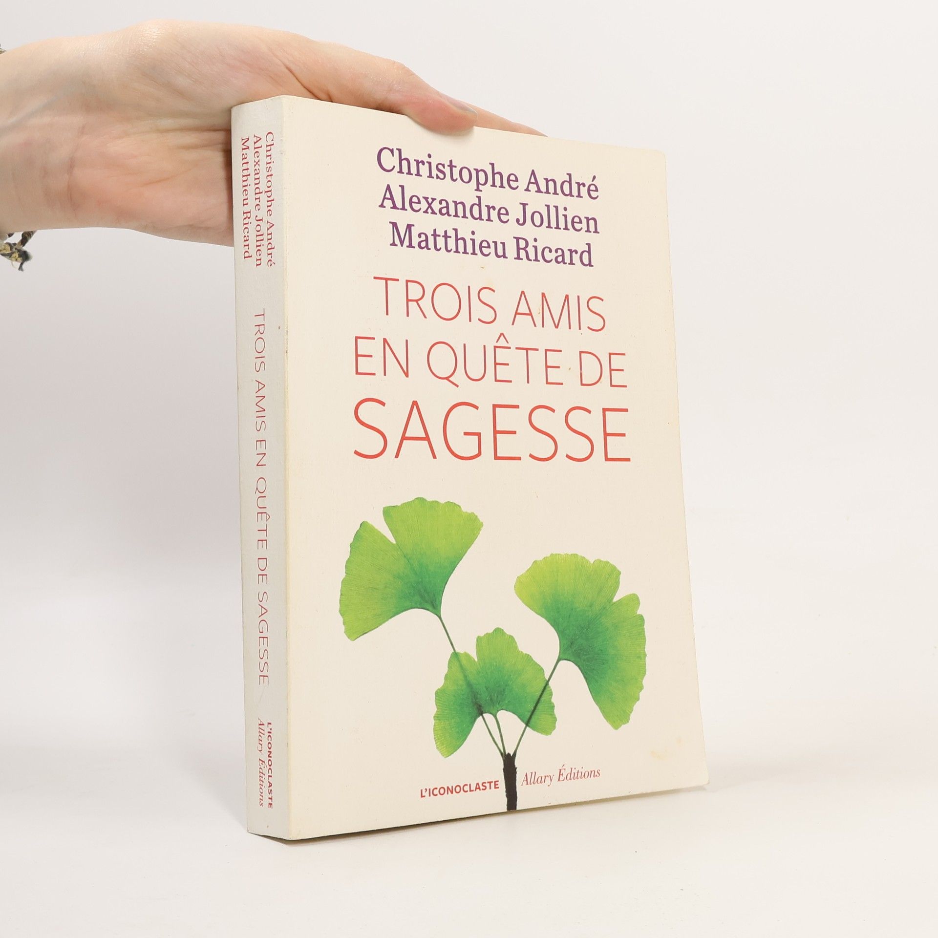 Christophe André Trois amis en quête de sagesse