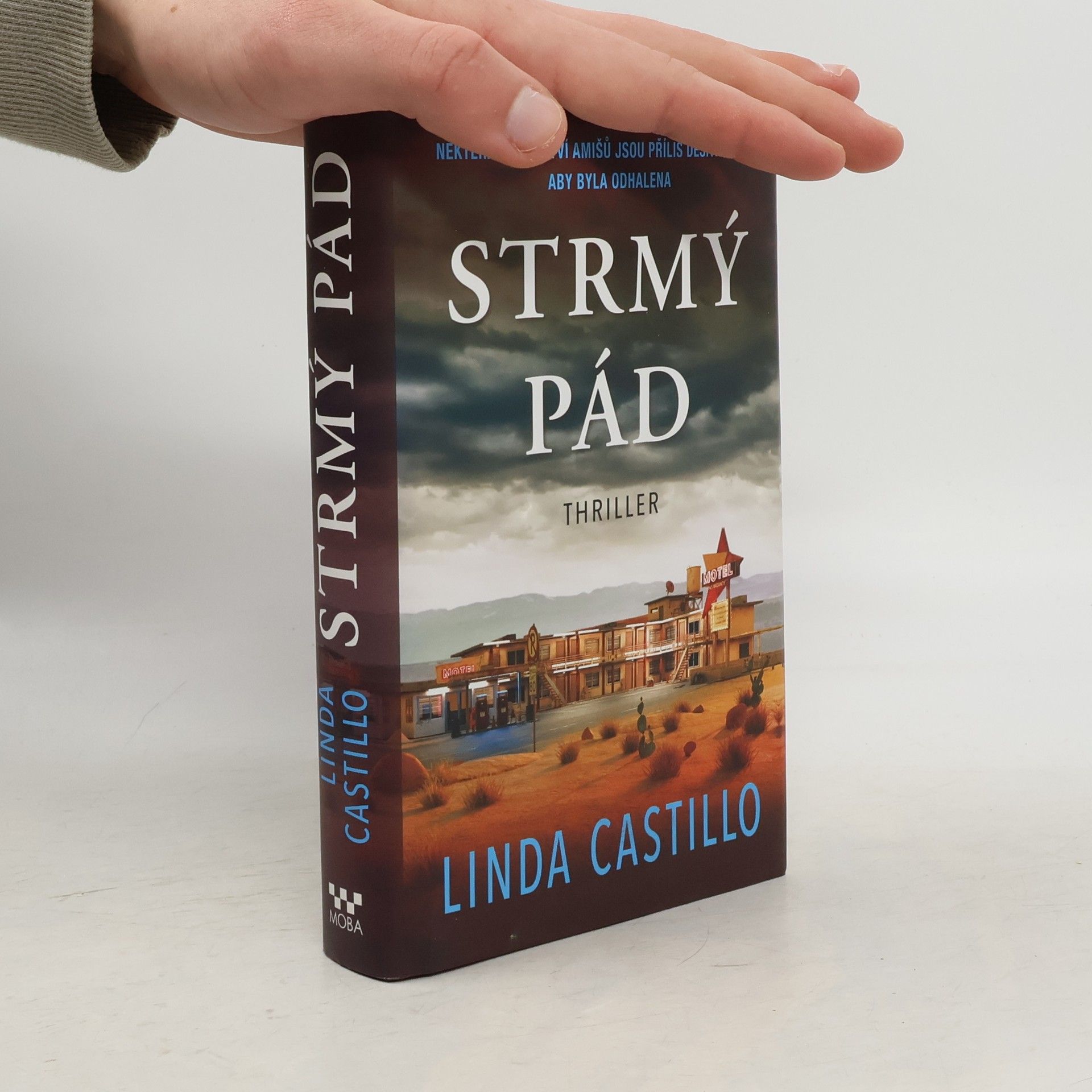 Linda Castillo Strmý pád