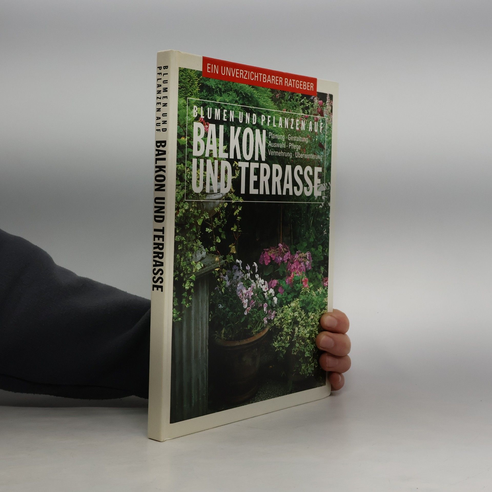 Autorenkollektiv Blumen und Pflanzen auf Balkon und Terrasse