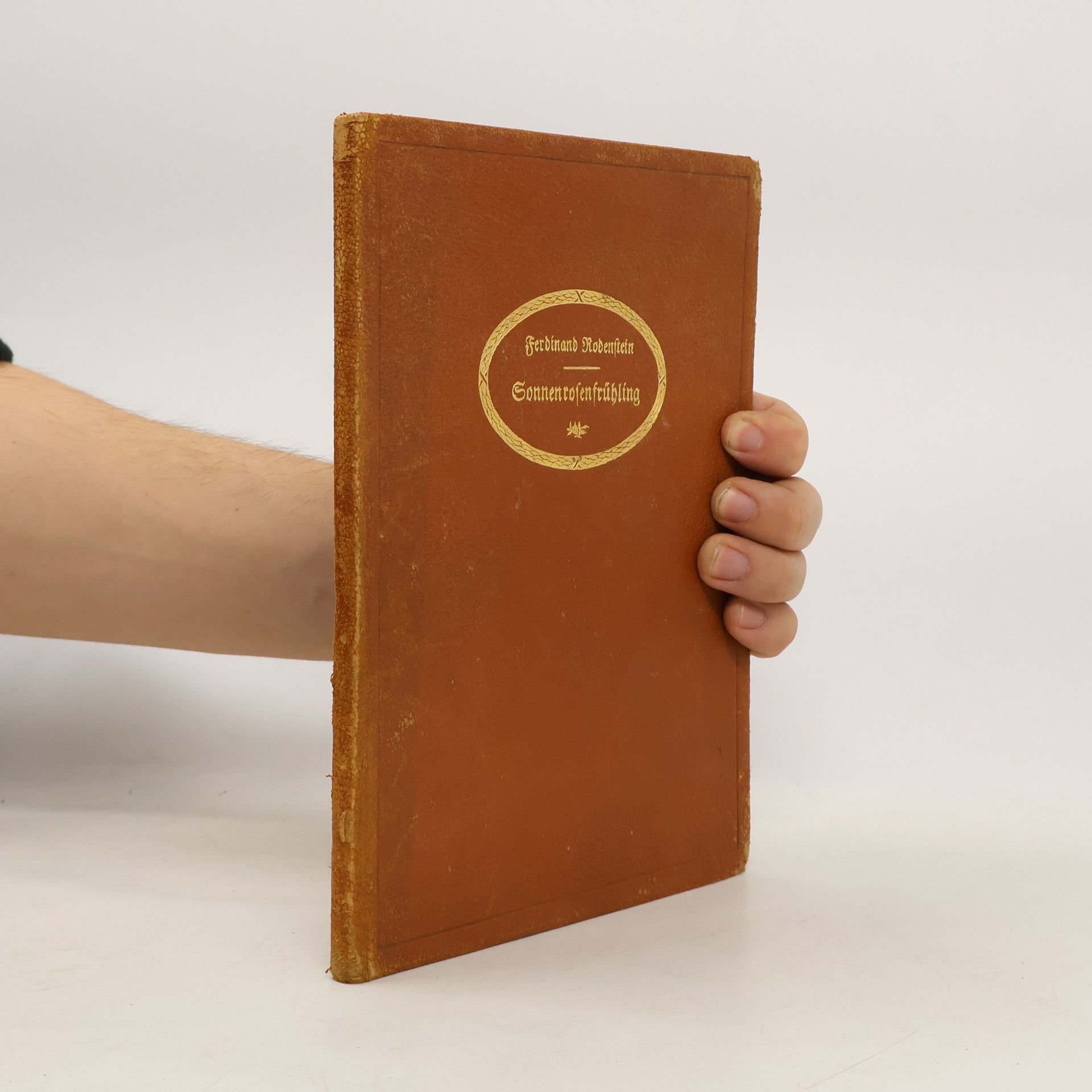Ferdinand Rodenstein Sonnenrosenfrühling