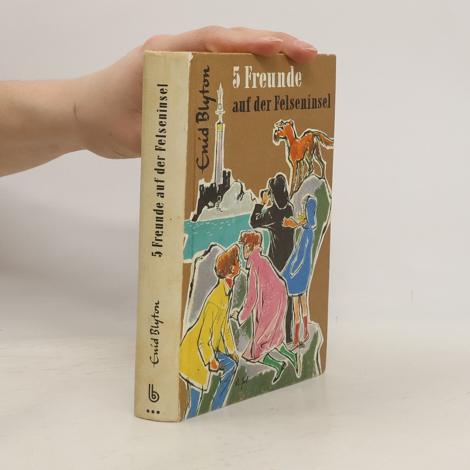 Enid Blyton Fünf Freunde auf de Felseninsel