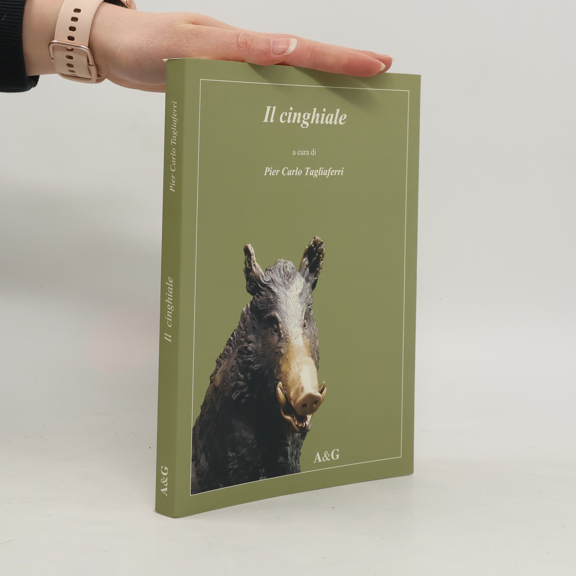 Pier Carlo Tagliaferri Il cinghiale