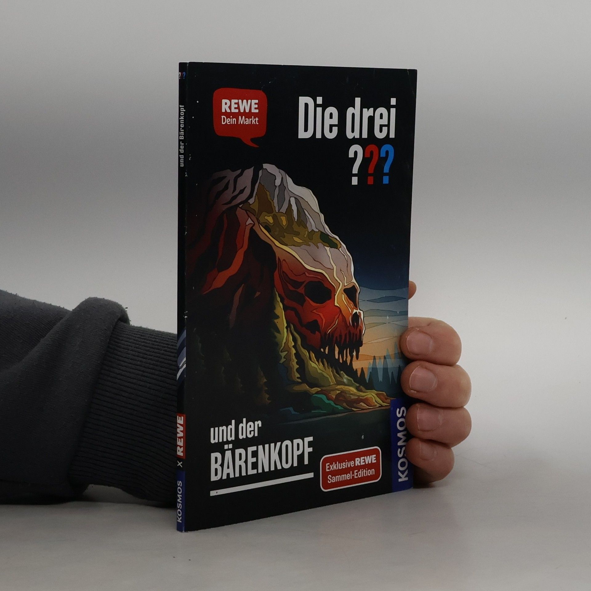 Andreas Ruch Die drei ??? und der Bärenkopf