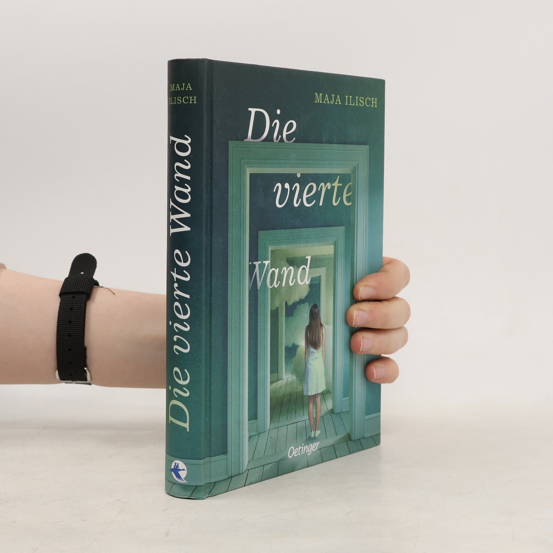 Maja Ilisch Die vierte Wand