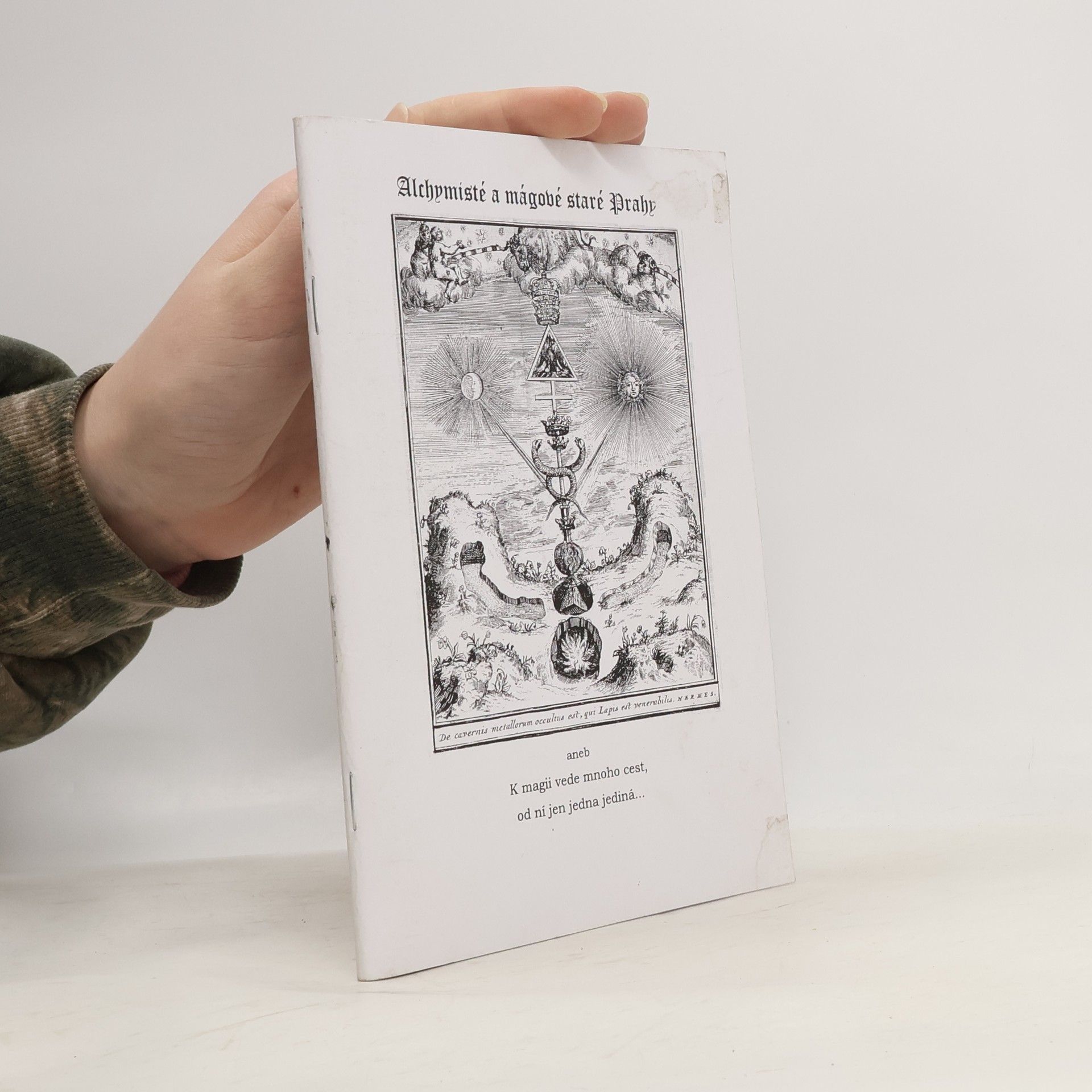 Kolektiv autorů Alchymisté a mágové staré Prahy
