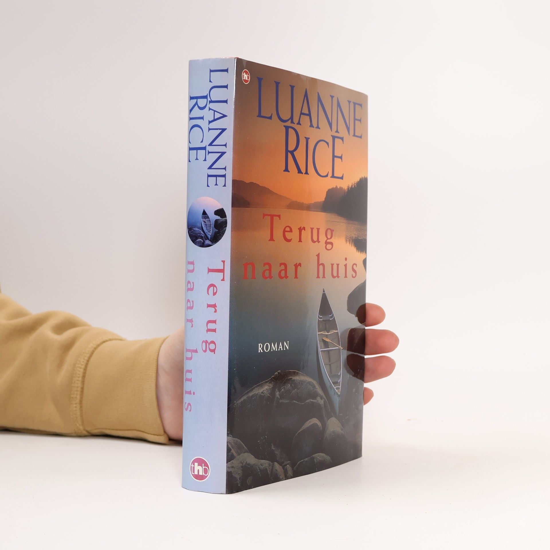 Luanne Rice Terug naar huis