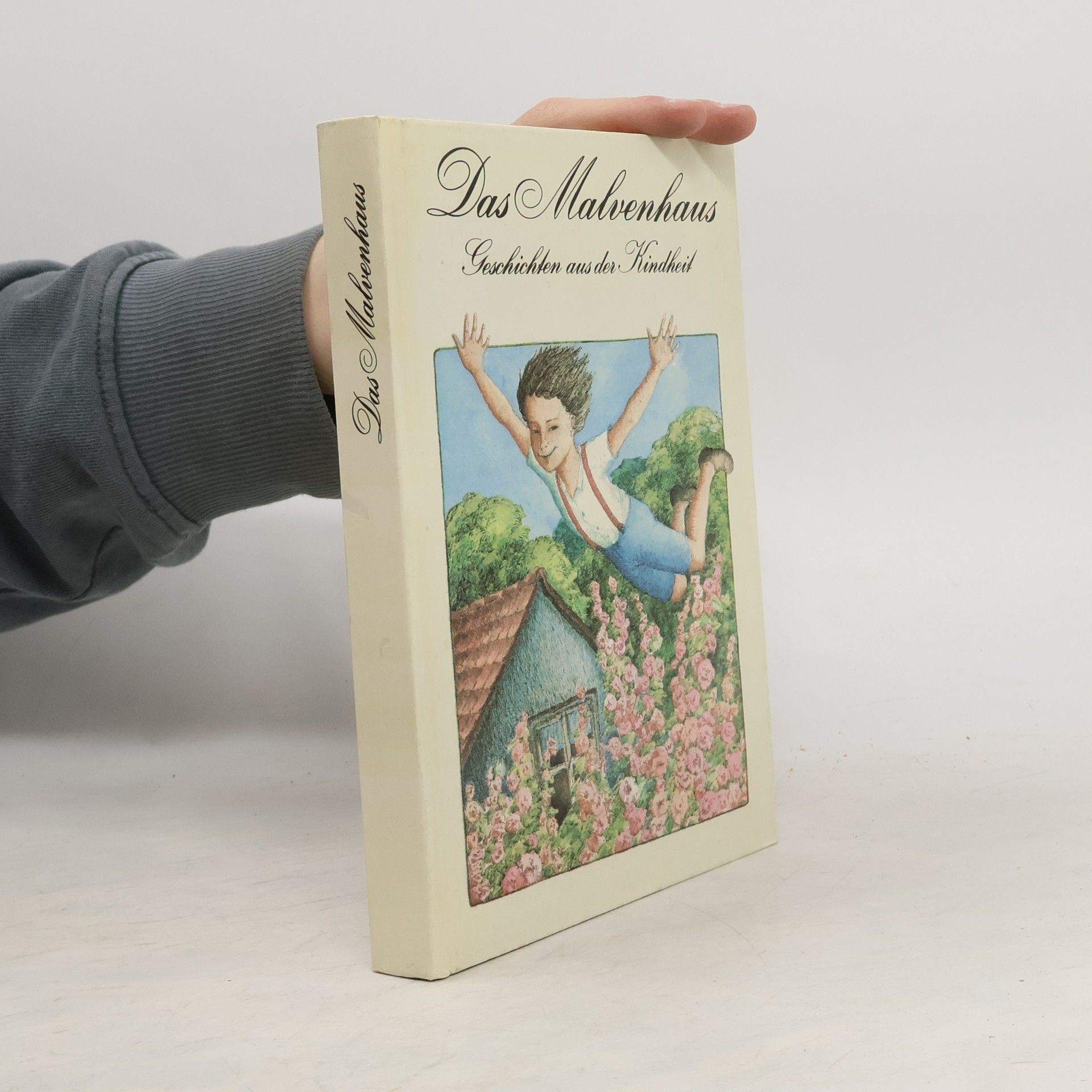 Kolektiv autorů Das Malvenhaus. Geschichten aus der Kindheit