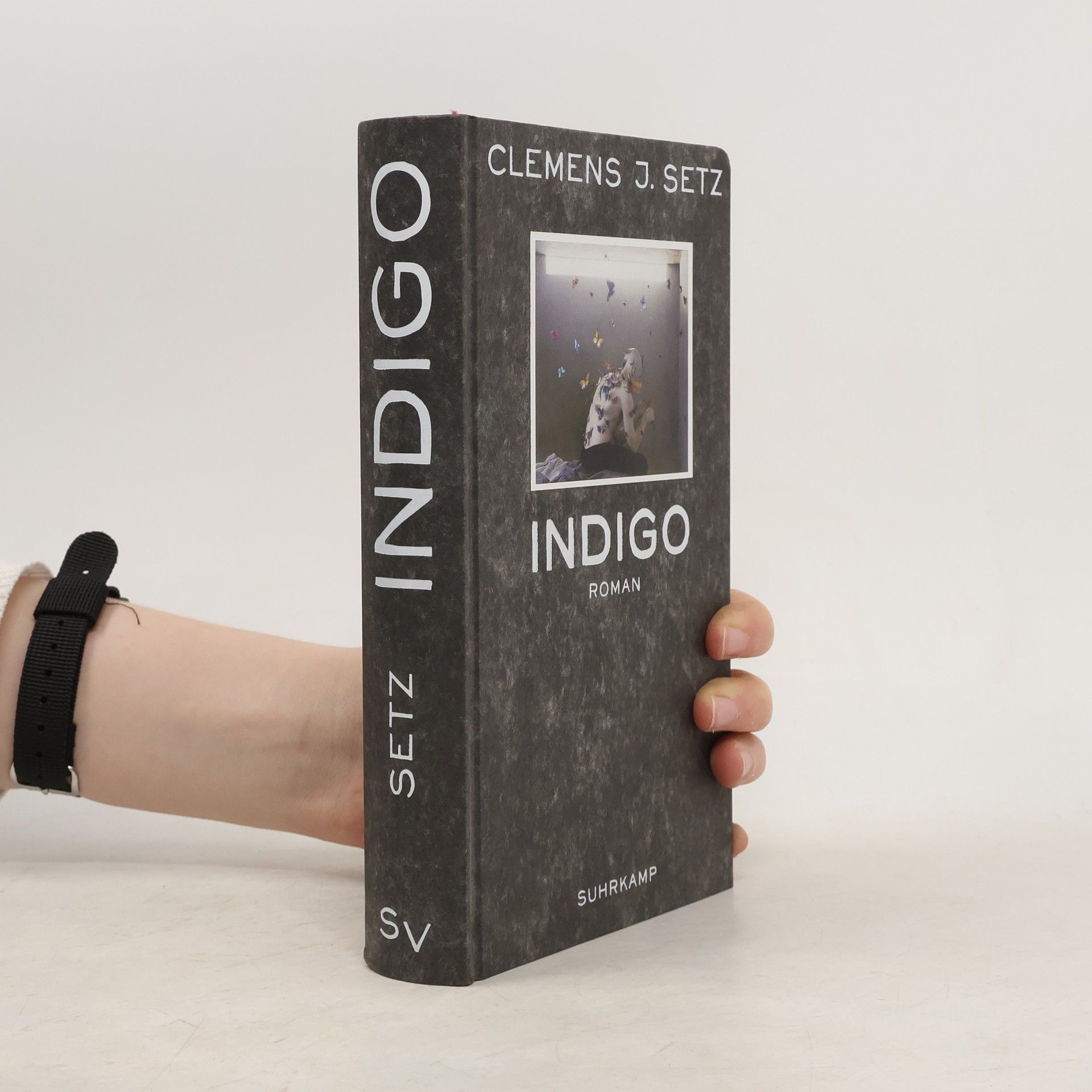 Clemens J. Setz Indigo