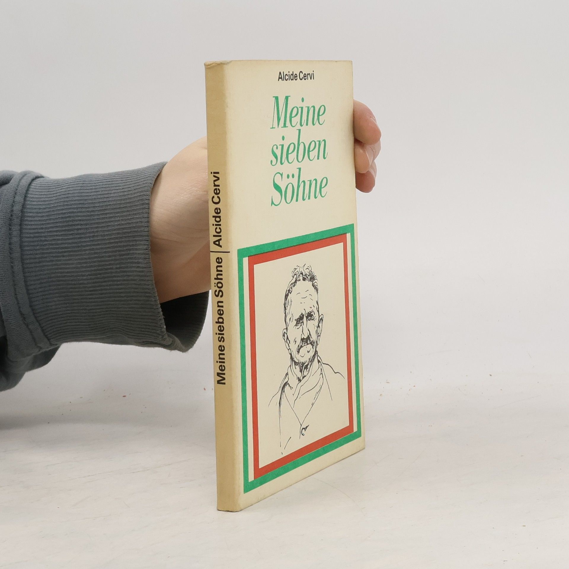 Alcide Cervi Meine sieben Söhne