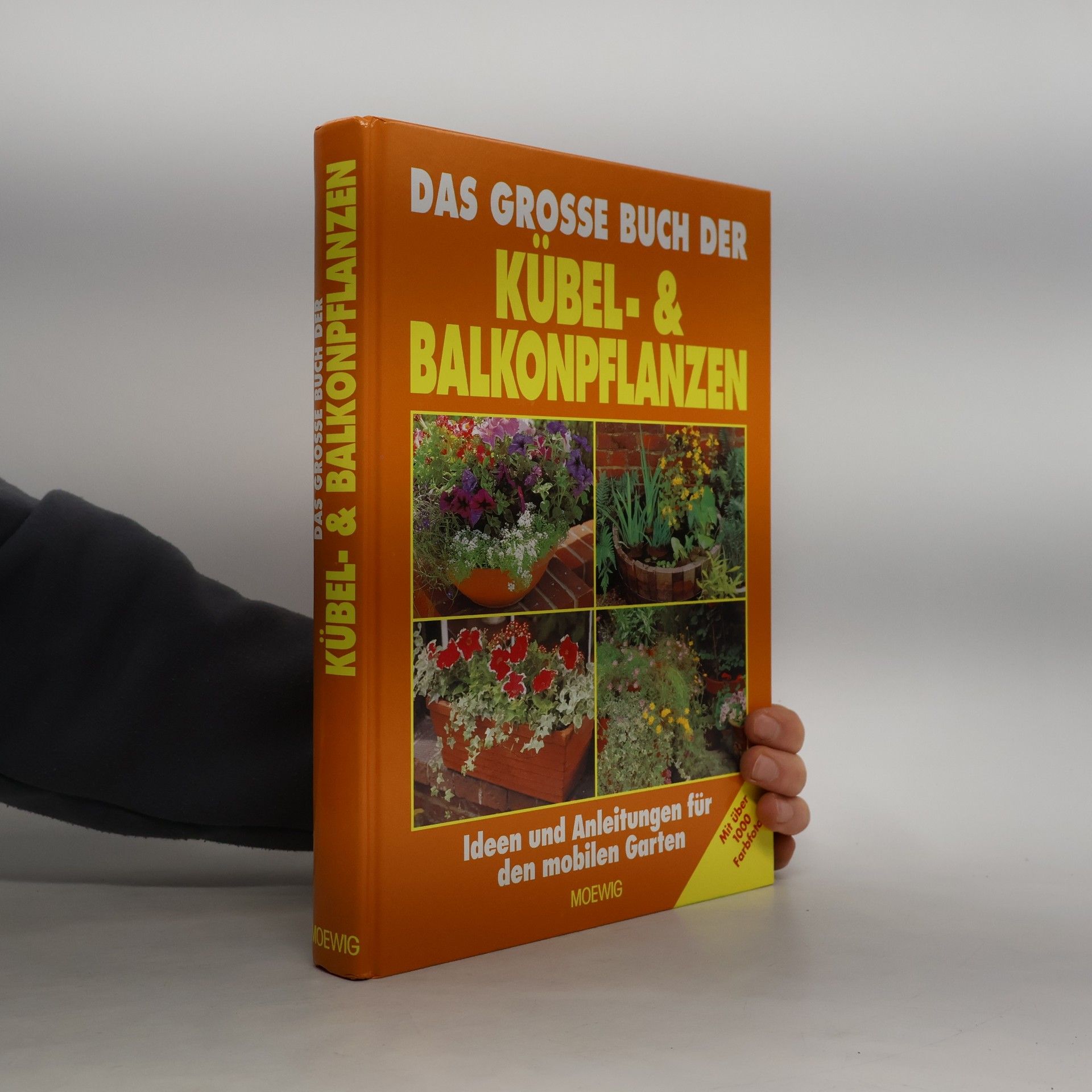 Various authors Das große Buch der Kübel- und Balkonpflanzen