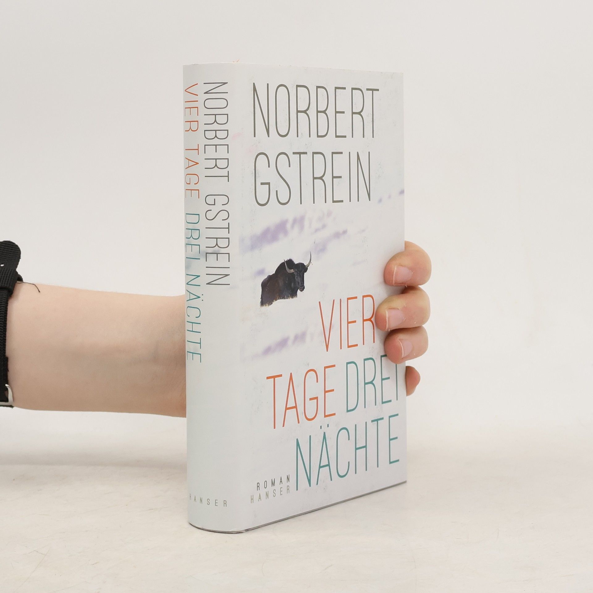 Norbert Gstrein Vier Tage, drei Nächte