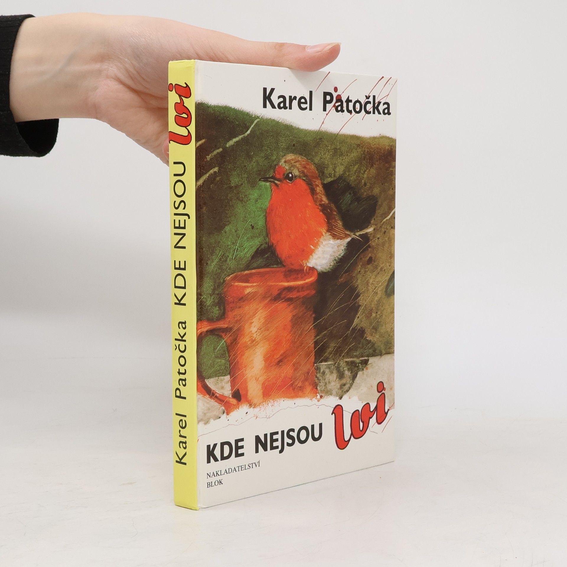 Karel Patočka Kde nejsou lvi