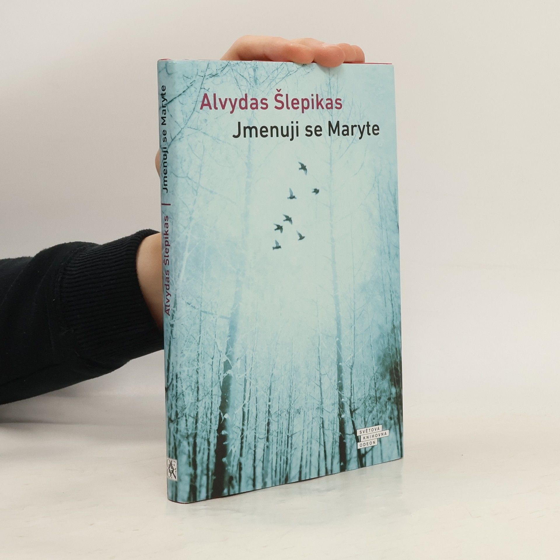 Alvydas Šlepikas Jmenuji se Maryte