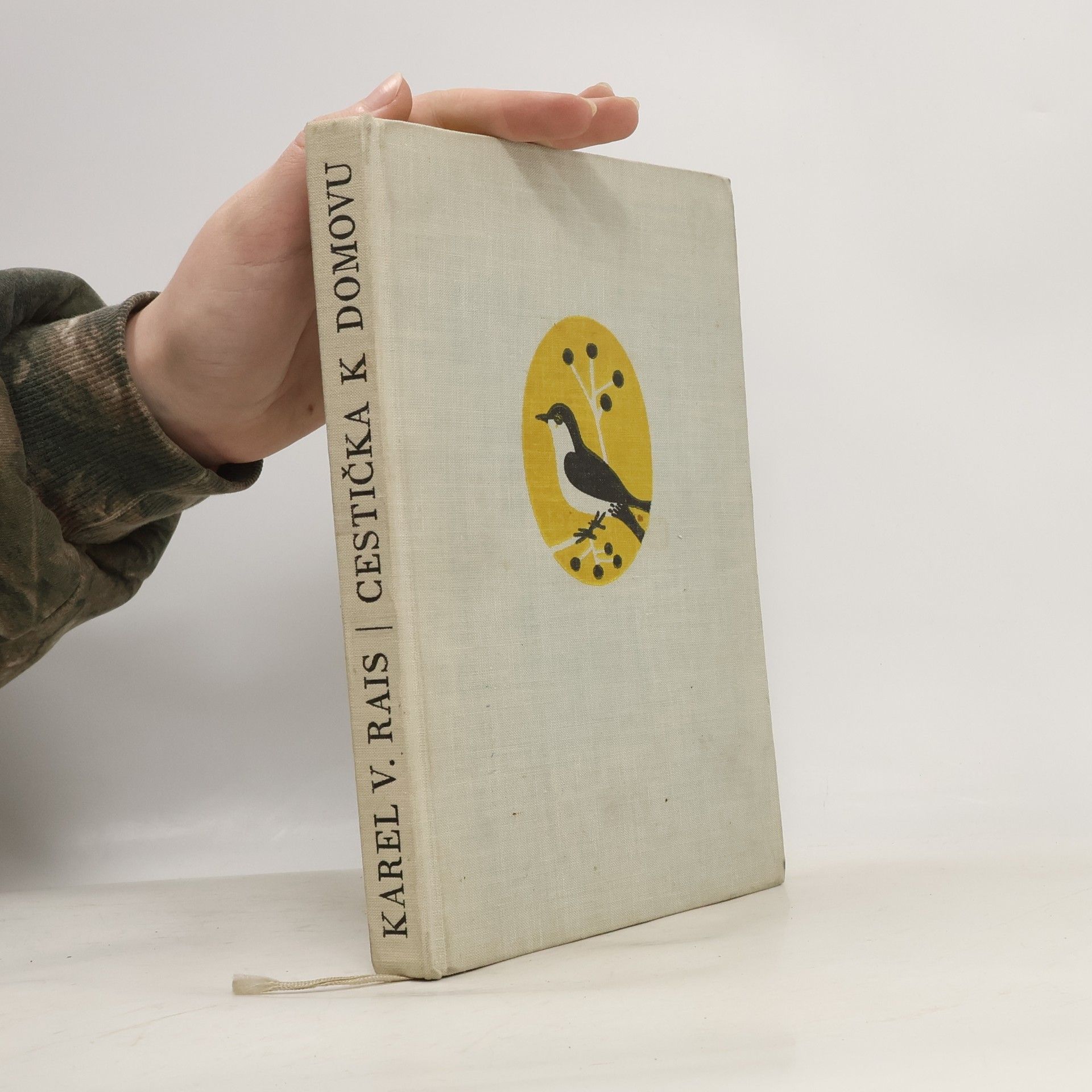 Karel Václav Rais Cestička k domovu