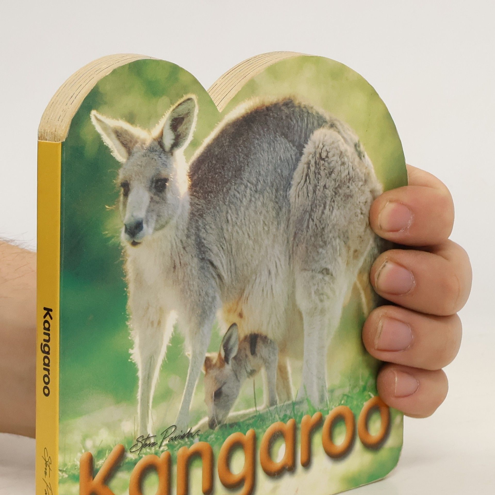 Steve Parish Kangaroo