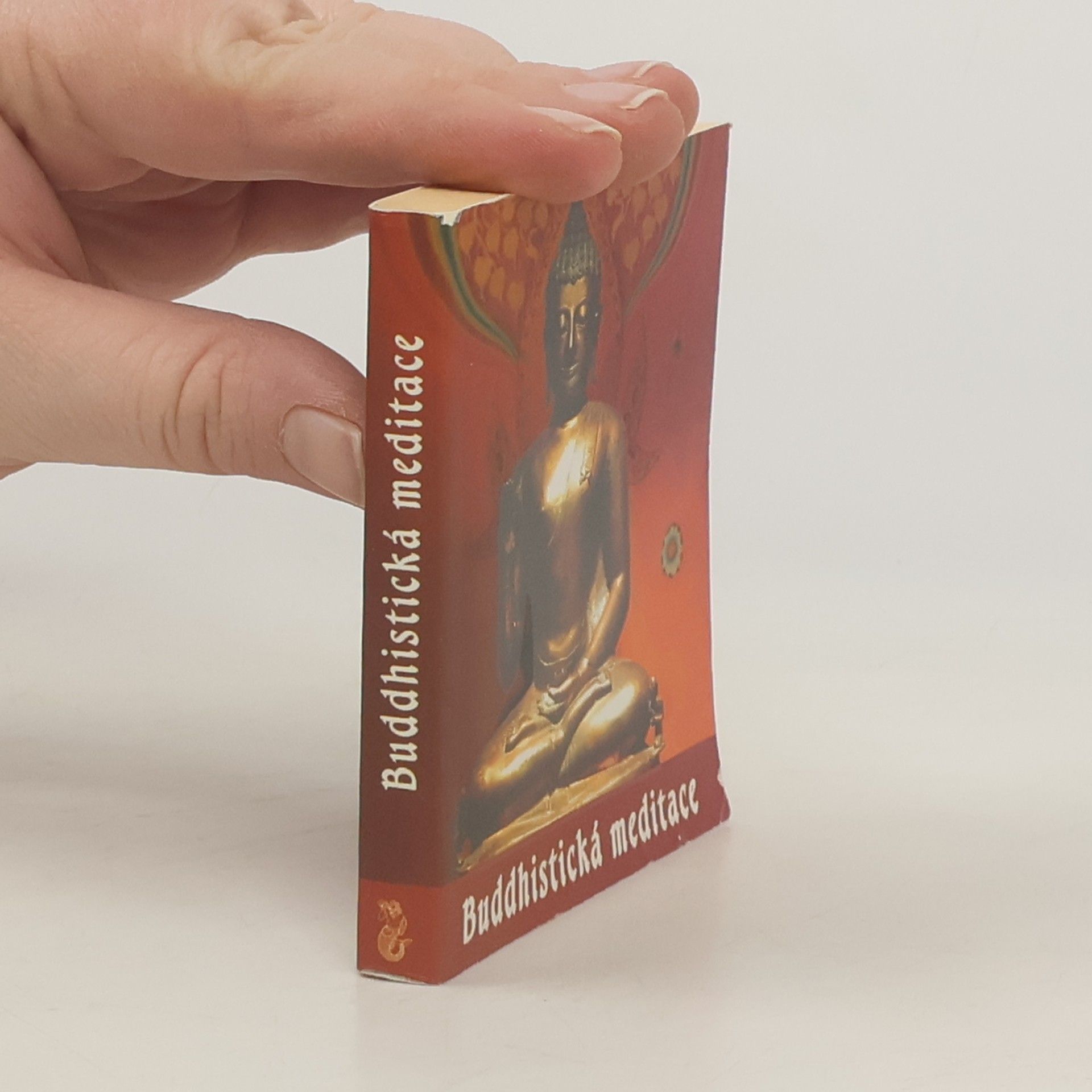 Roman Žižlavský Buddhistická meditace