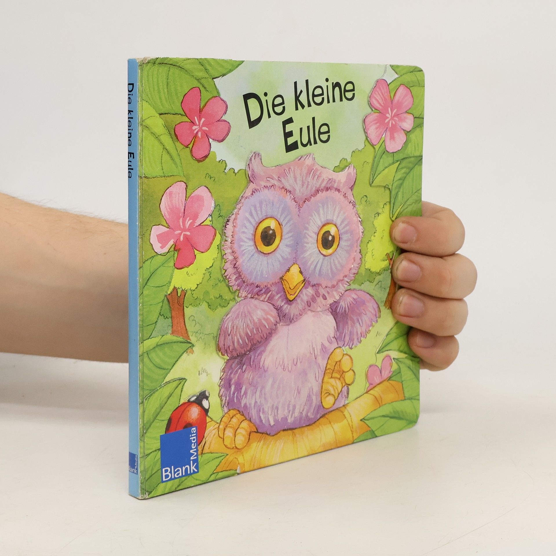 Kolektiv autorů Die kleine Eule