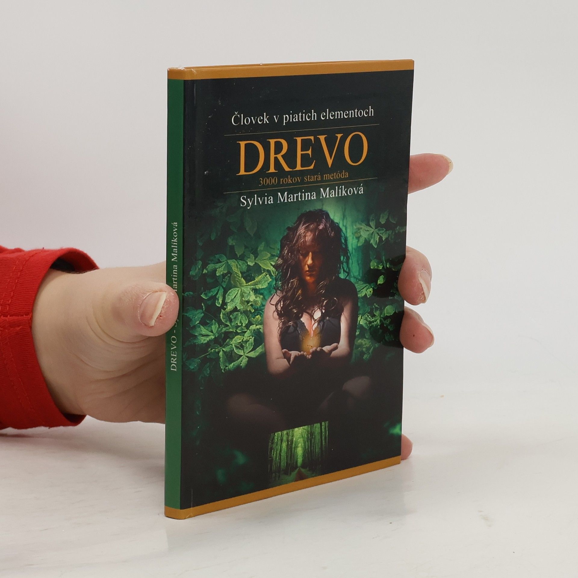 Sylvia Malíková Drevo 3000 rokov stará metóda