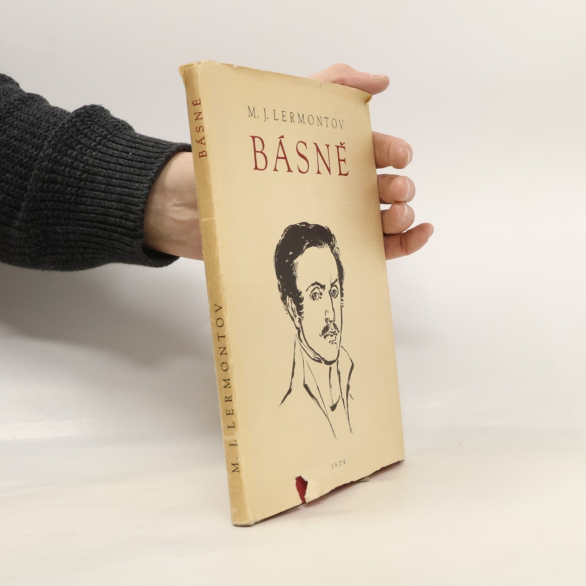 Michail Jurjevič Lermontov Básně