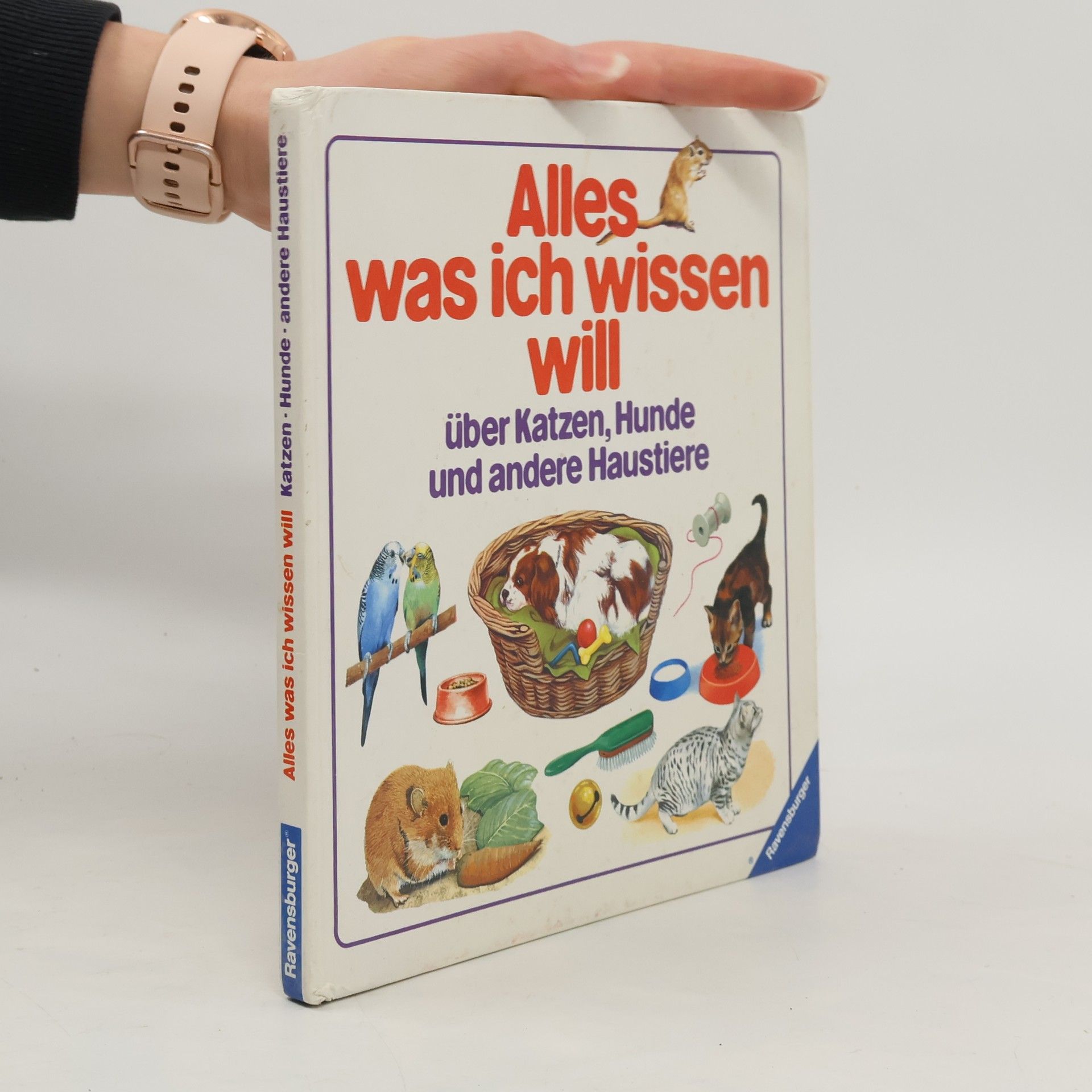 Rose Hill Alles was ich wissen will über Katzen, Hunde und andere Haustiere