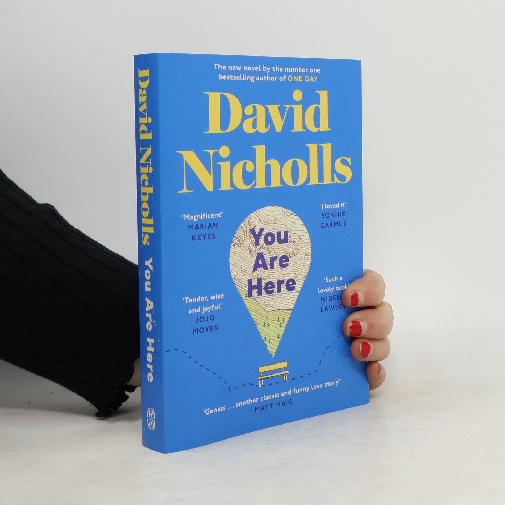 David Nicholls You Are Here