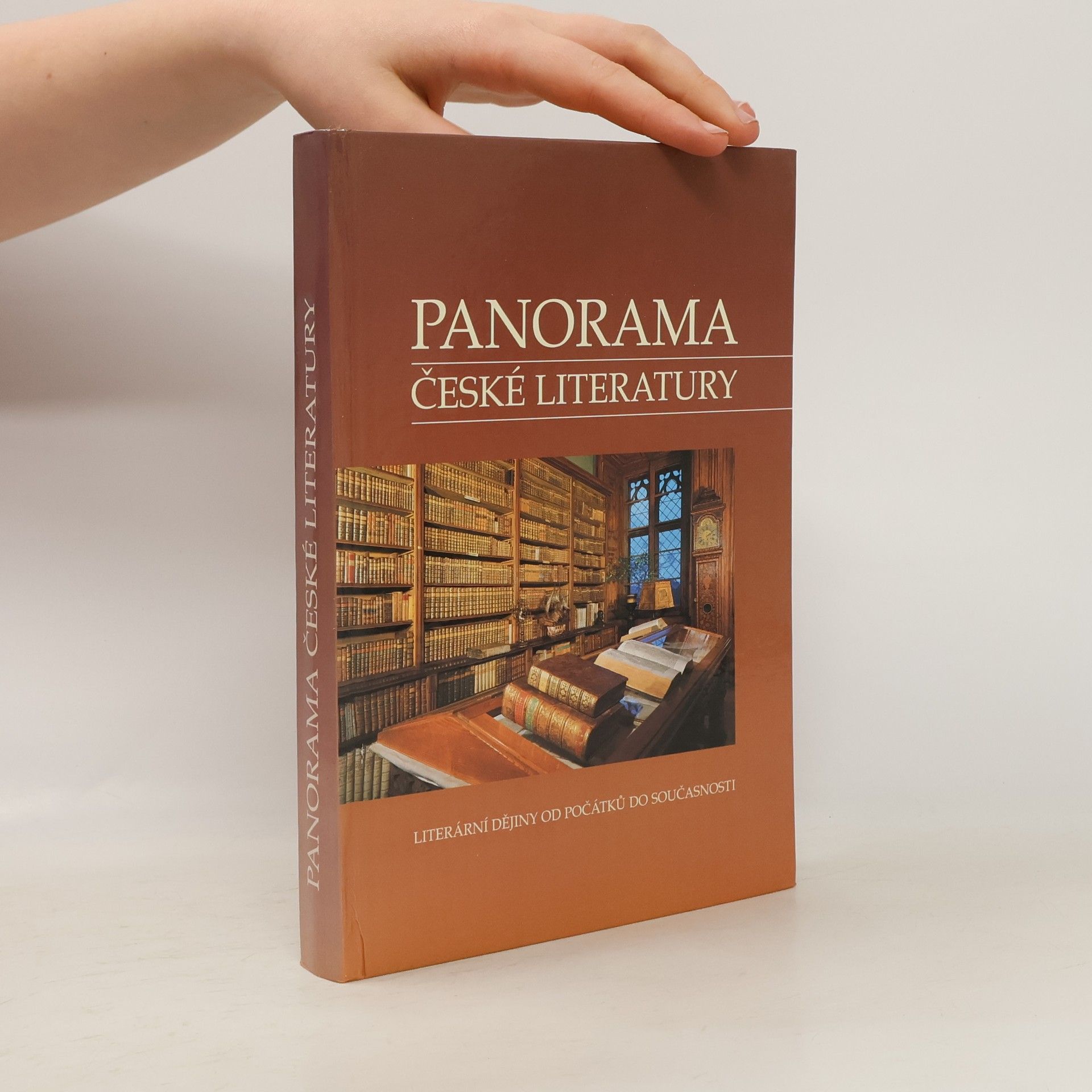 Autorenkollektiv Panorama české literatury. Literární dějiny od počátků do současnosti