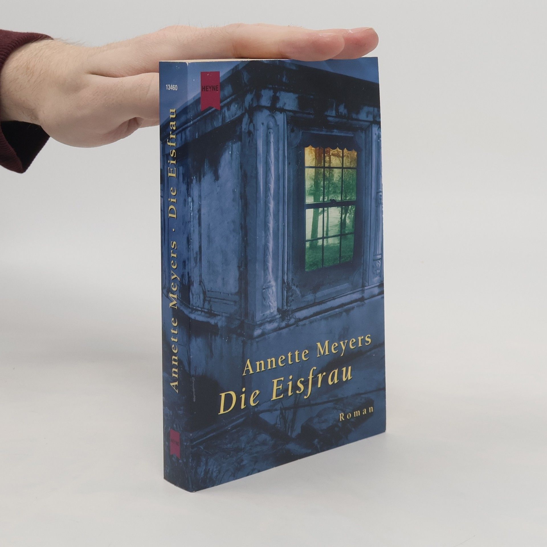 Annette Meyers Die Eisfrau