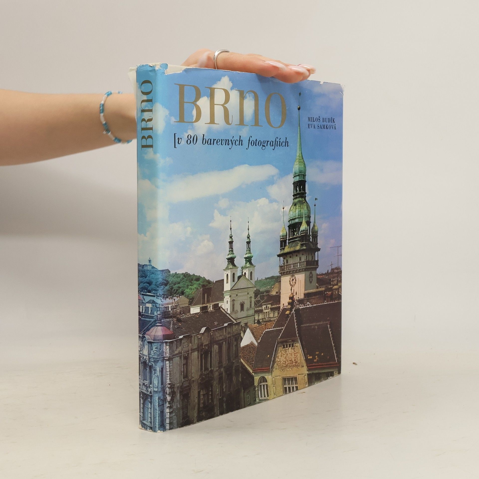 Miloš Budík Brno. V 80 barevných fotografiích