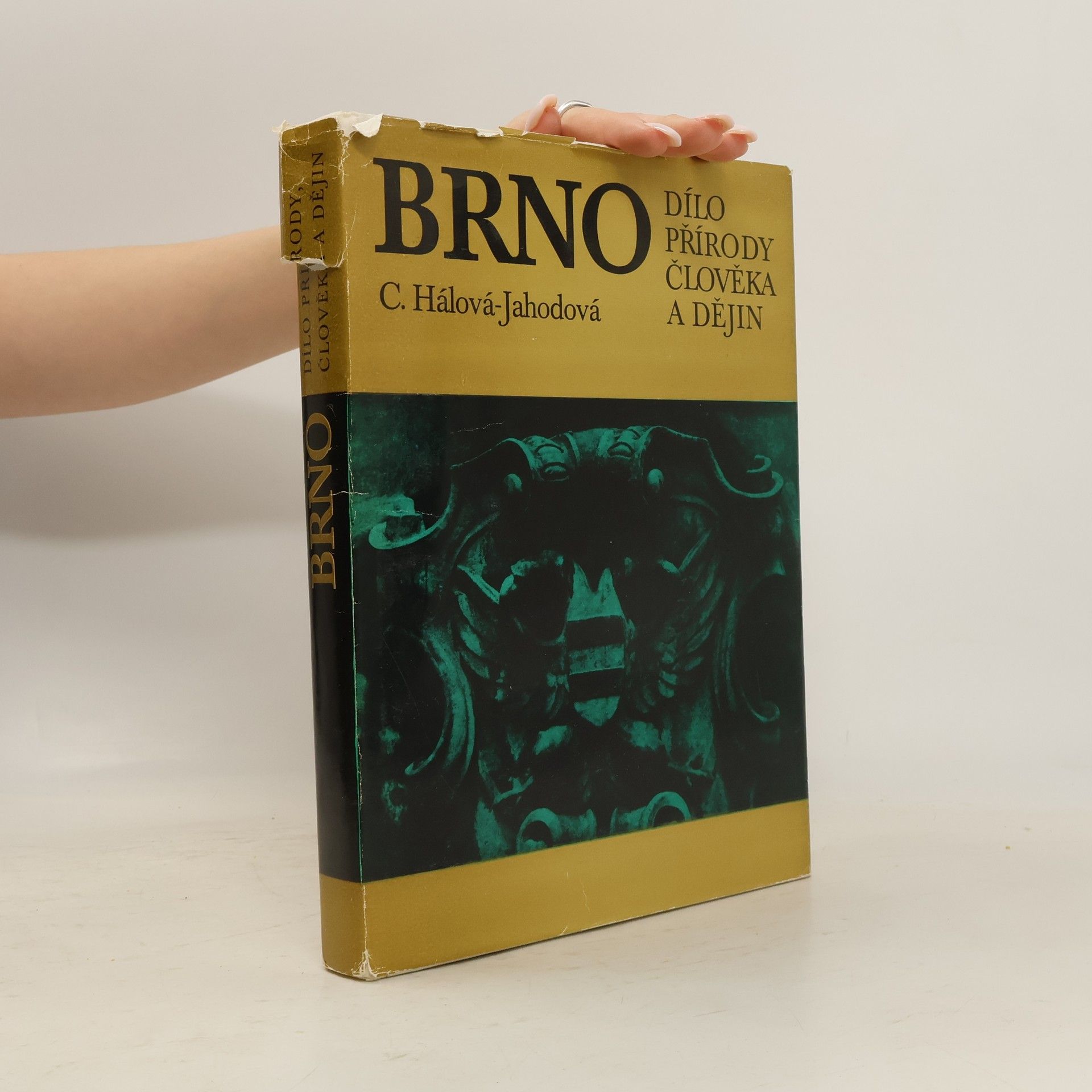 C. Hálová-Jahodová Brno. Dílo přírody, člověka a dějin