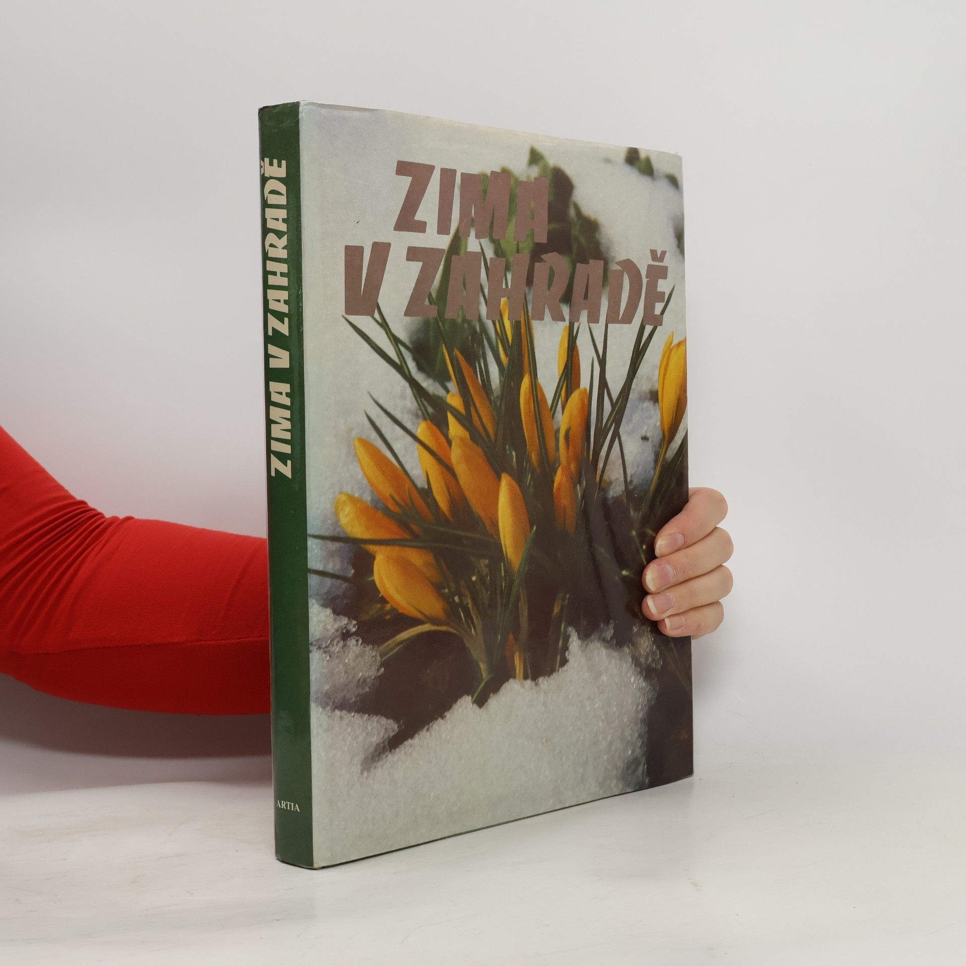 Autorenkollektiv Zima v zahradě