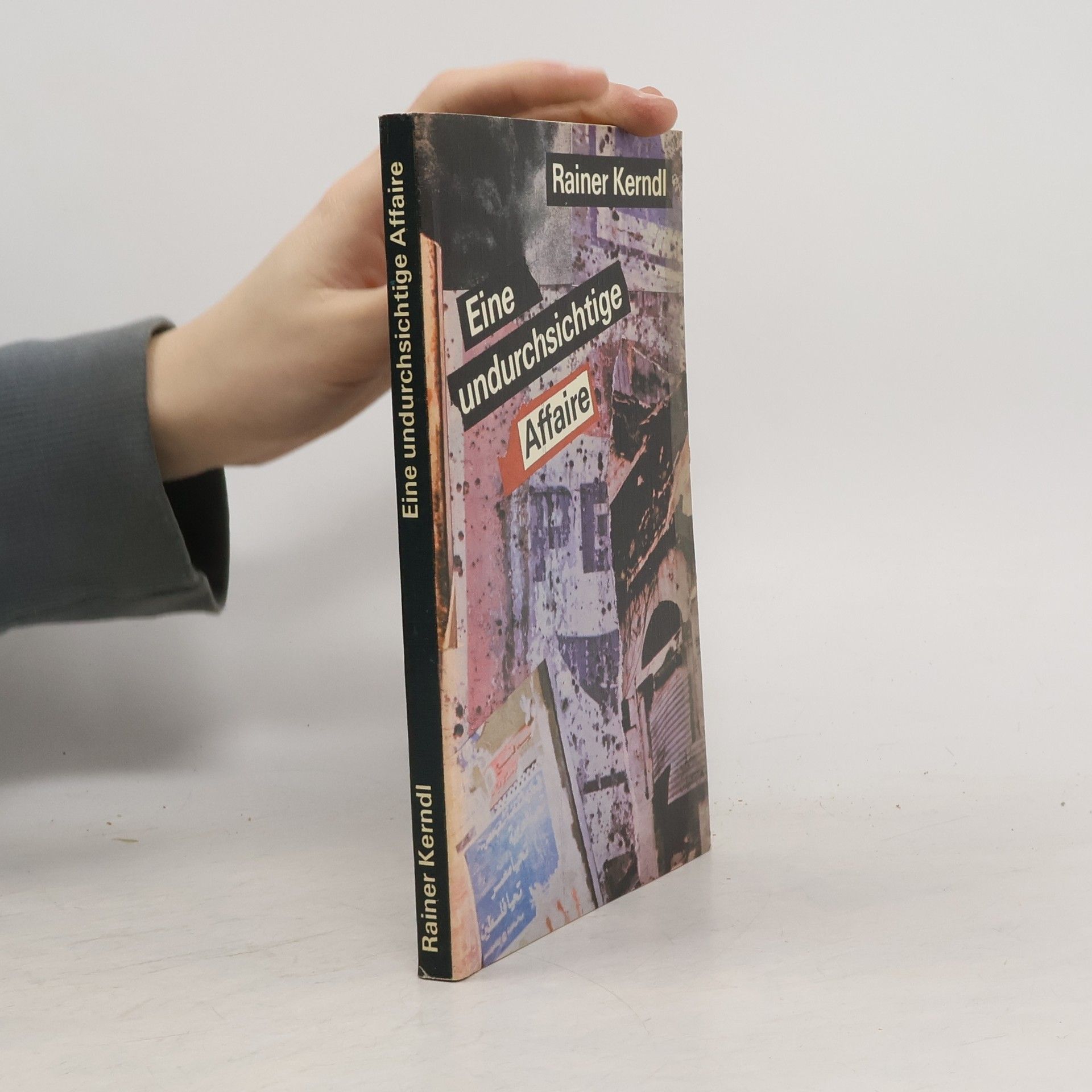 Rainer Kerndl Eine undurchsichtige Affaire