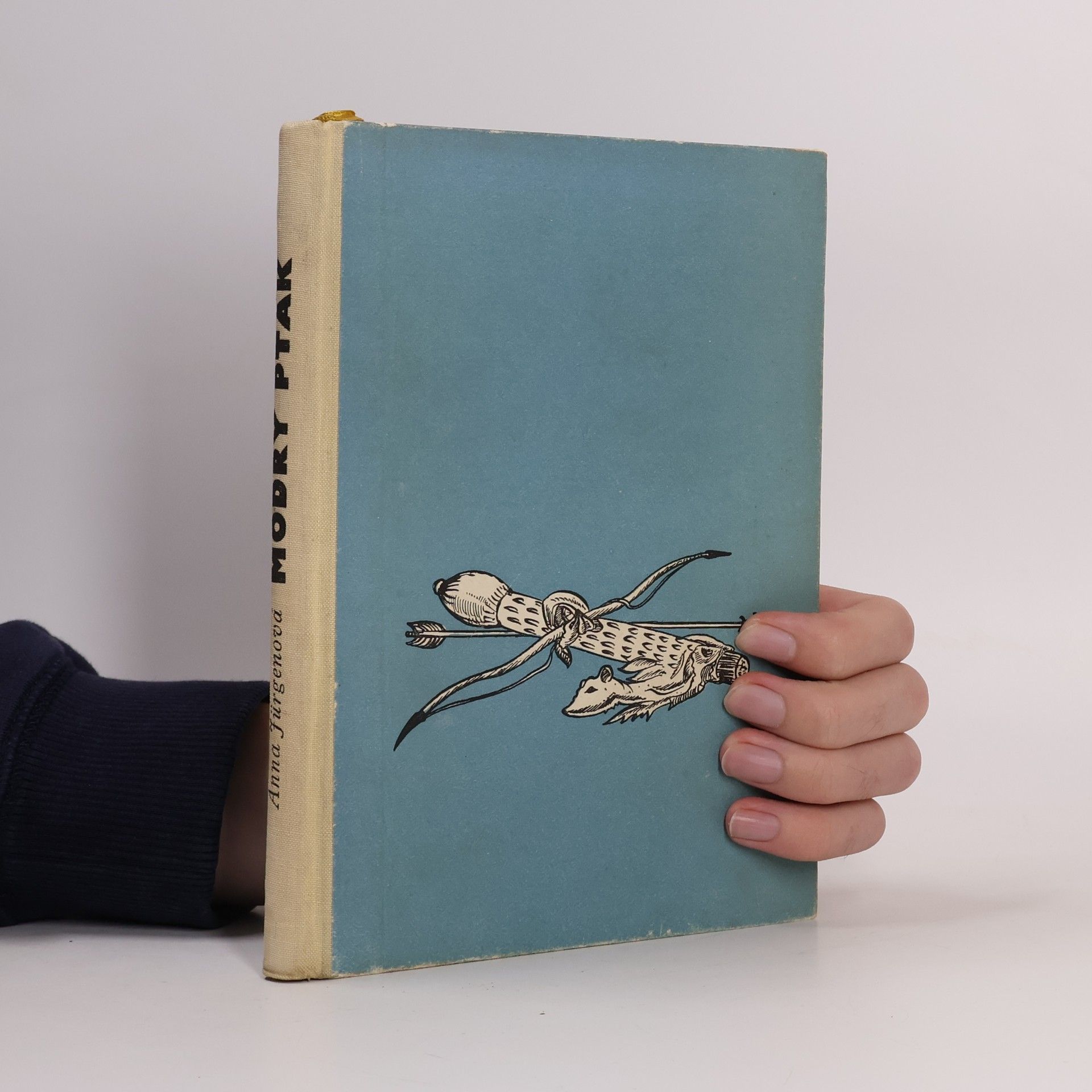 Anna Müller Modrý pták