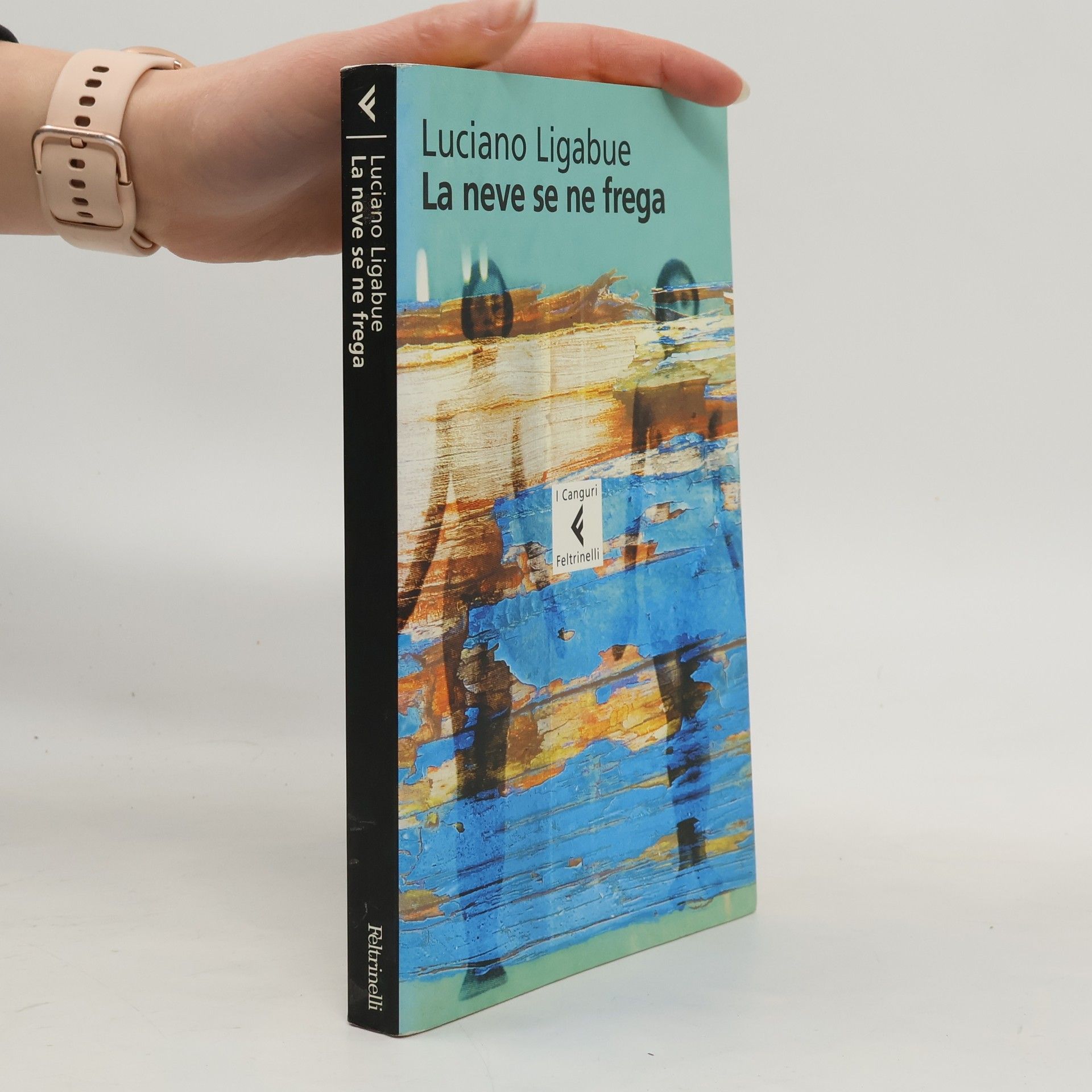 Luciano Ligabue La neve se ne frega