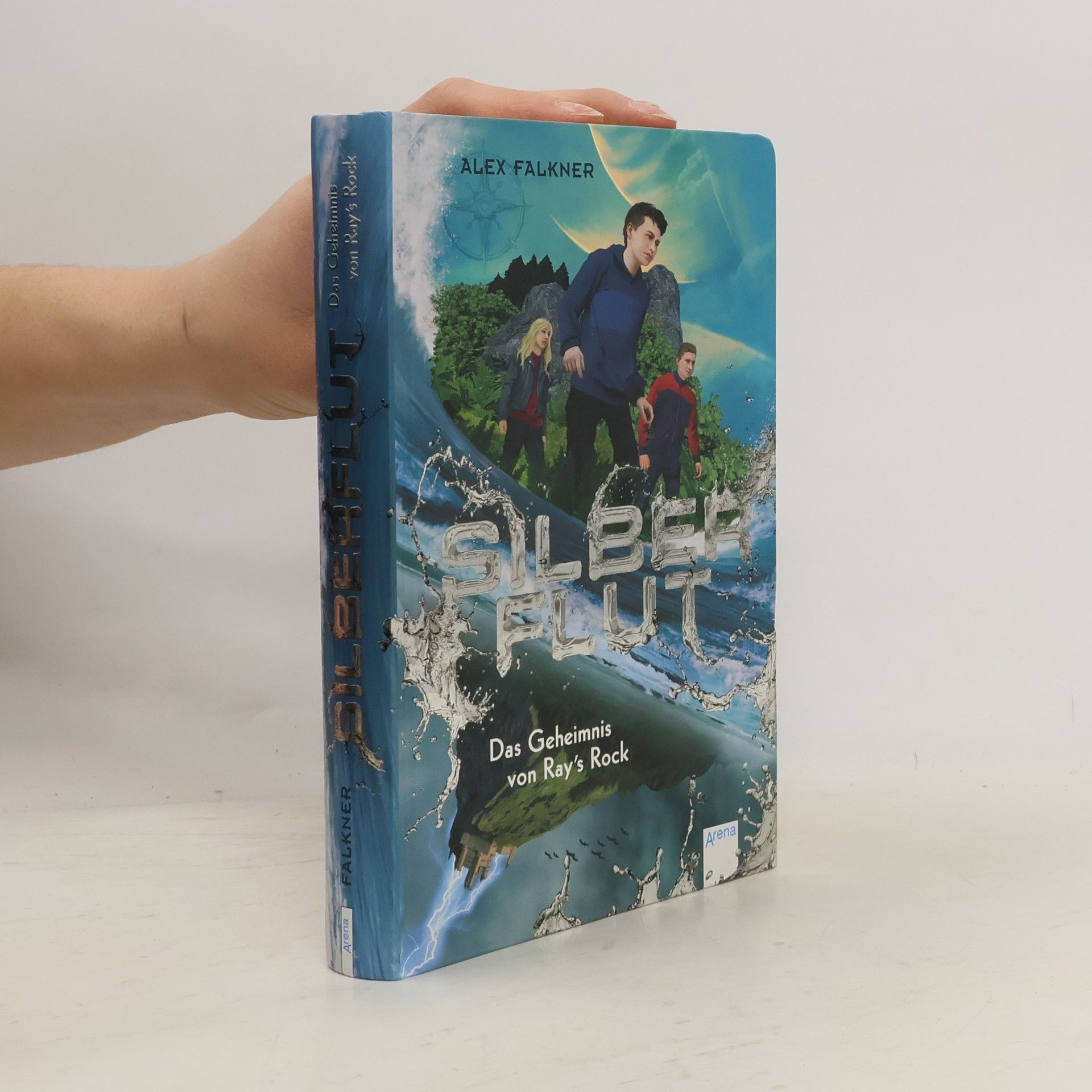 Alex Falkner Silberflut 1: Das Geheimnis von Ray's Rock