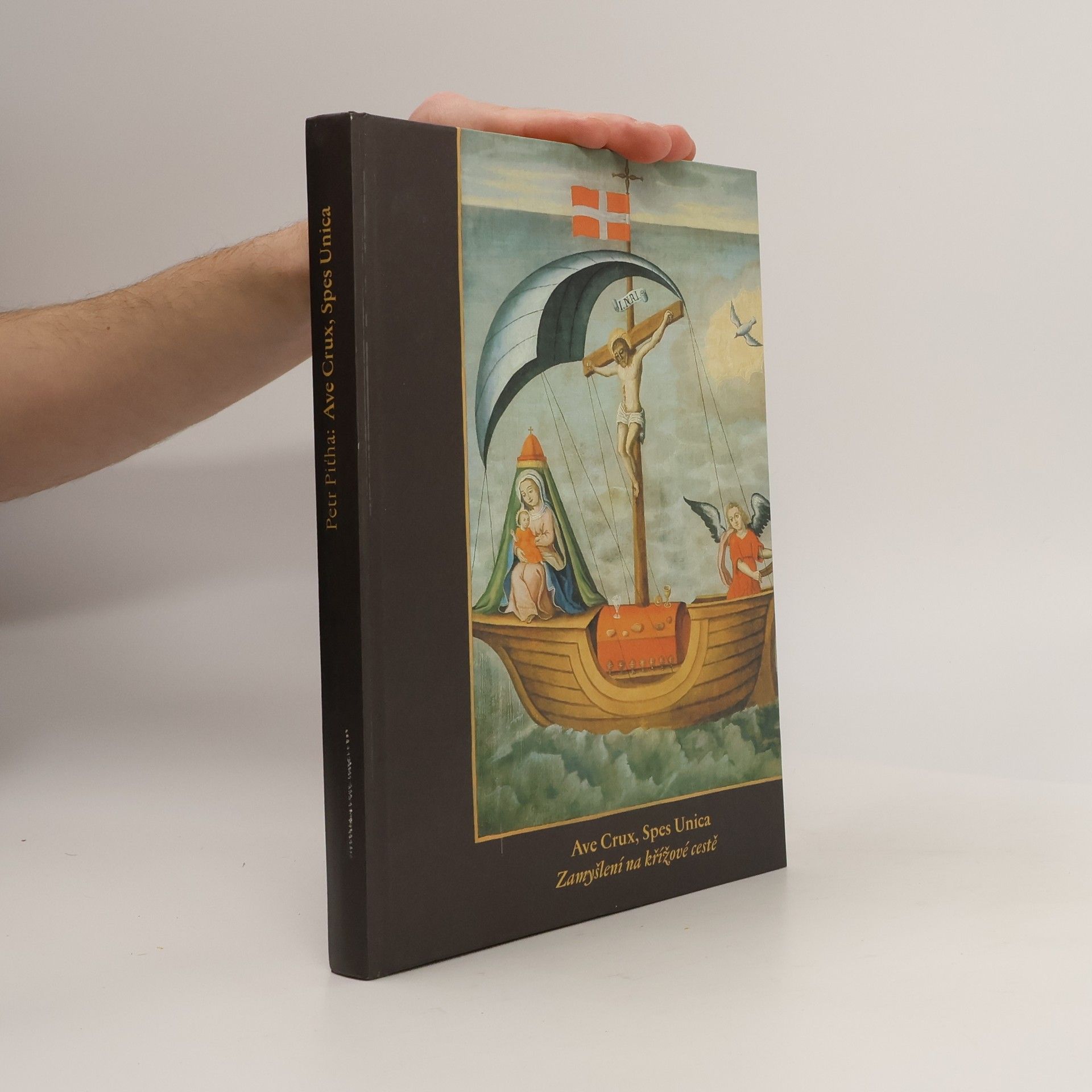 Petr Pit̕ha Ave crux, spes unica : zamyšlení na křížové cestě