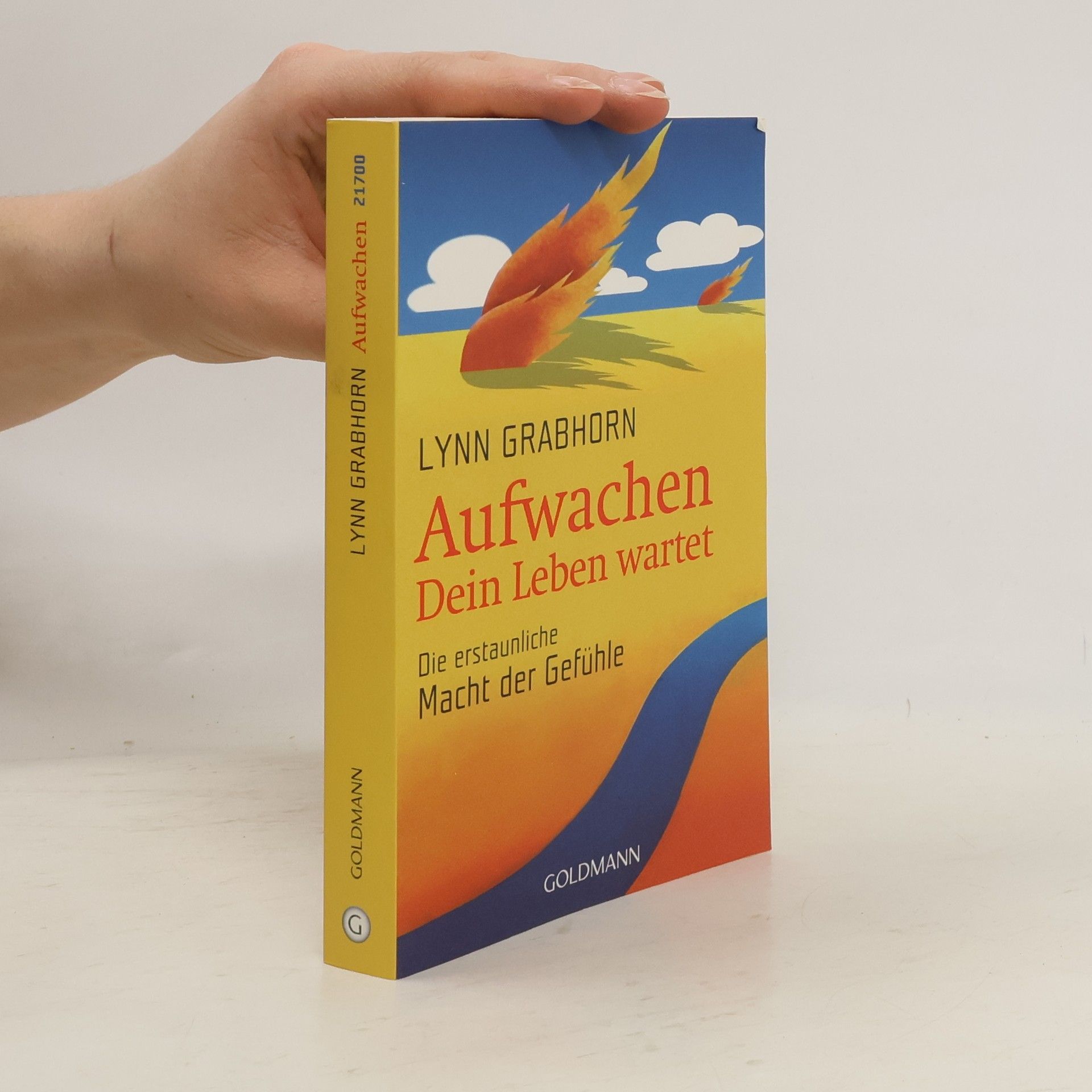 Lynn Grabhorn Aufwachen. Dein Leben wartet