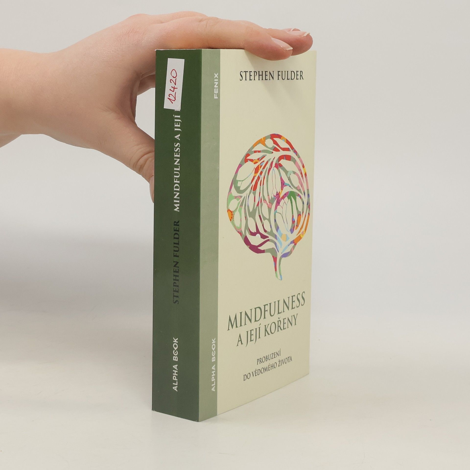 Stephen Fulder Mindfulness a její kořeny : probuzení do vědomého života